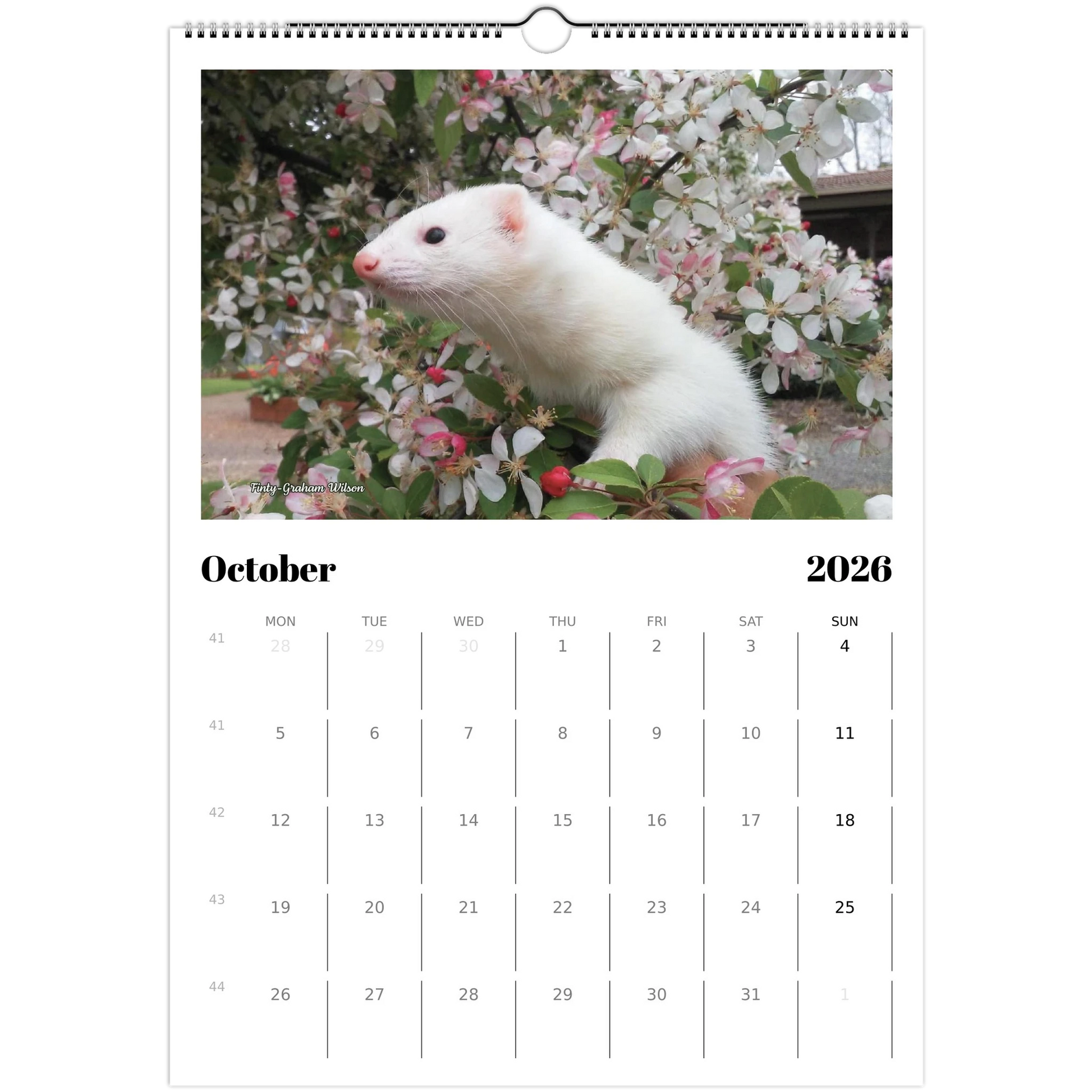 2026 Ferret Owners Australia Calendar