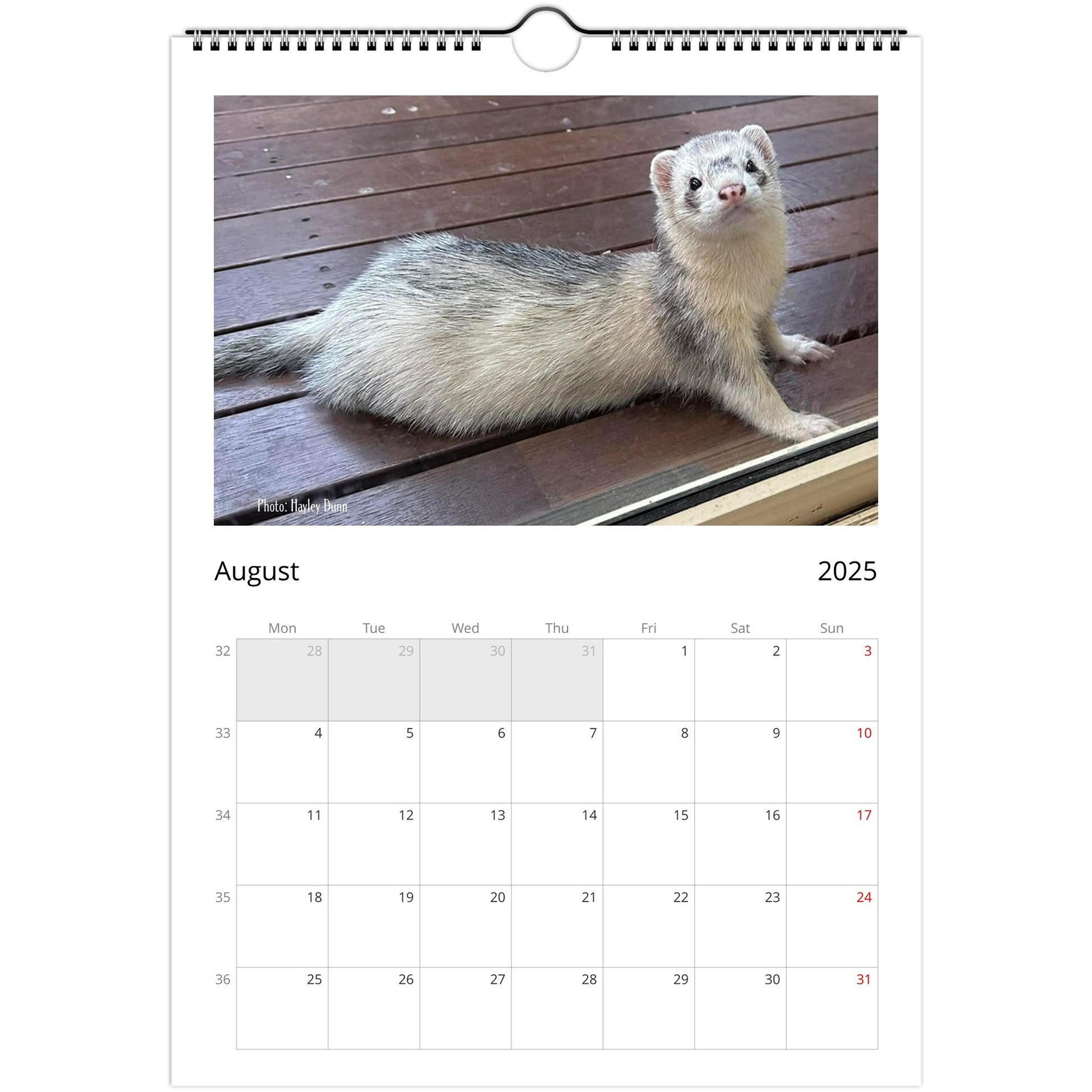 6a10e45d-Ferret Owners Australia A4 2025 Calendar Cover August