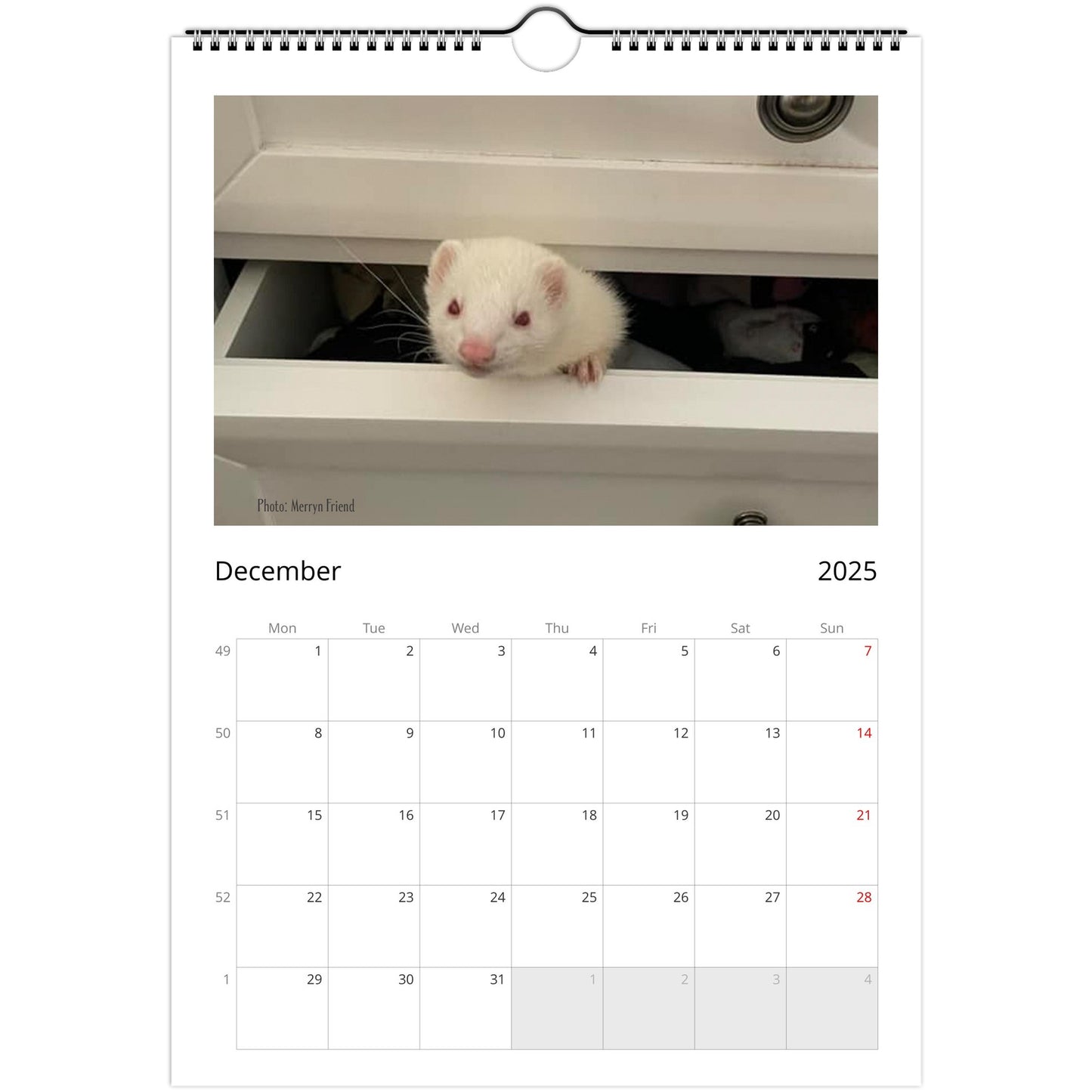 6a10e45d-Ferret Owners Australia A4 2025 Calendar Cover December