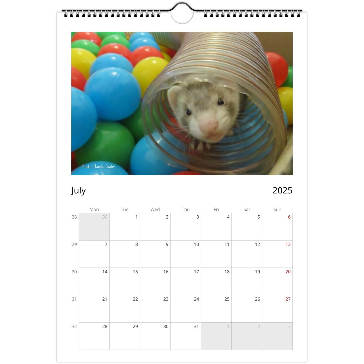 6a10e45d-Ferret Owners Australia A4 2025 Calendar Cover July