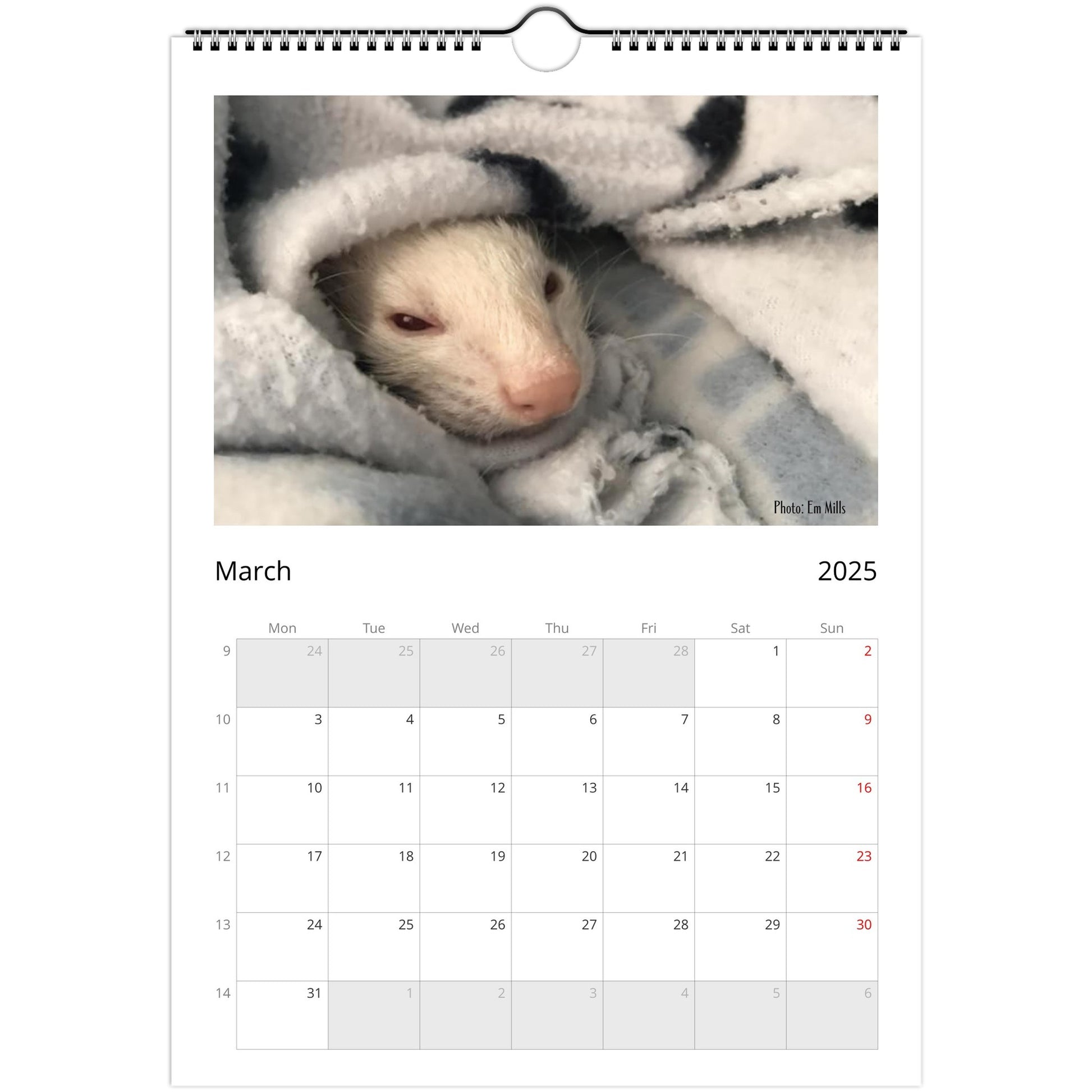 6a10e45d-Ferret Owners Australia A4 2025 Calendar Cover March
