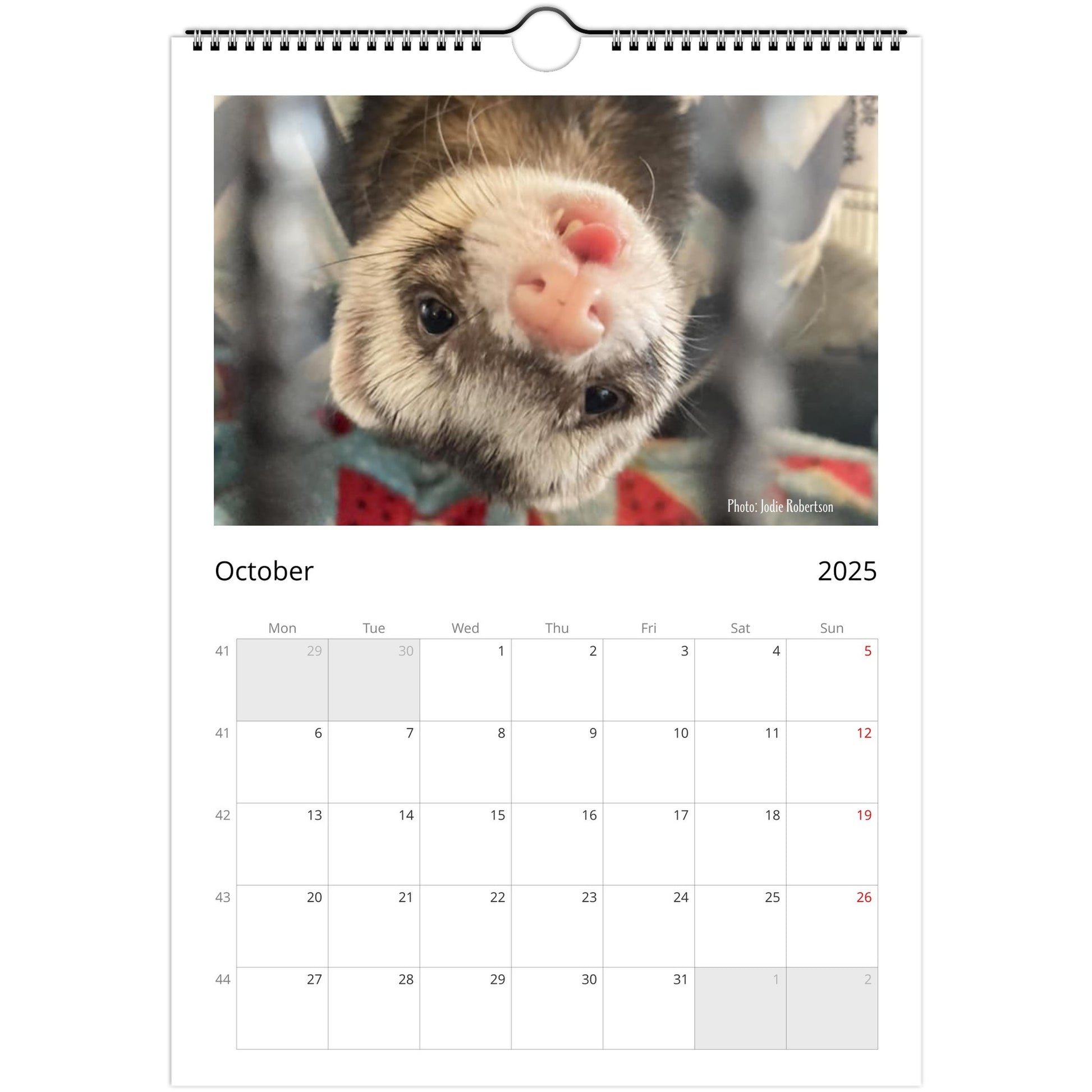 6a10e45d-Ferret Owners Australia A4 2025 Calendar Cover october