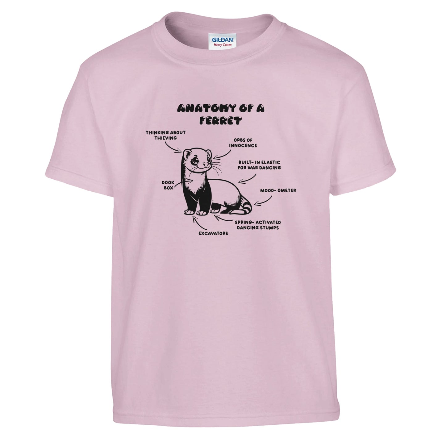 Anatomy Of A Ferret Kids T-shirt
