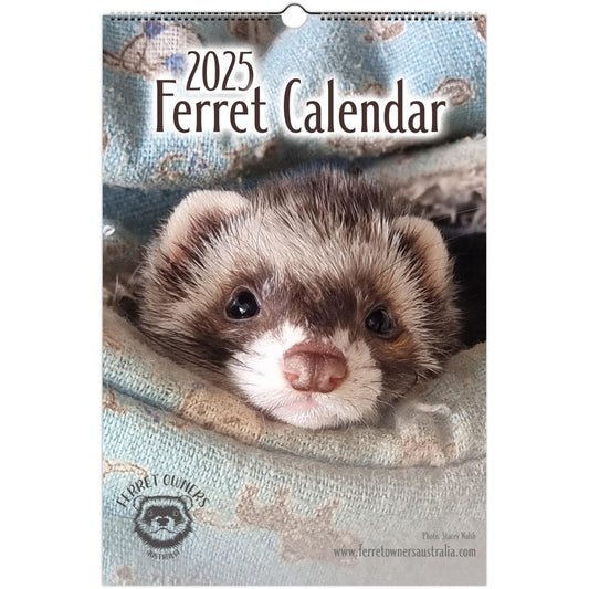 Ferret Owners Australia Ledger Calendar 2025