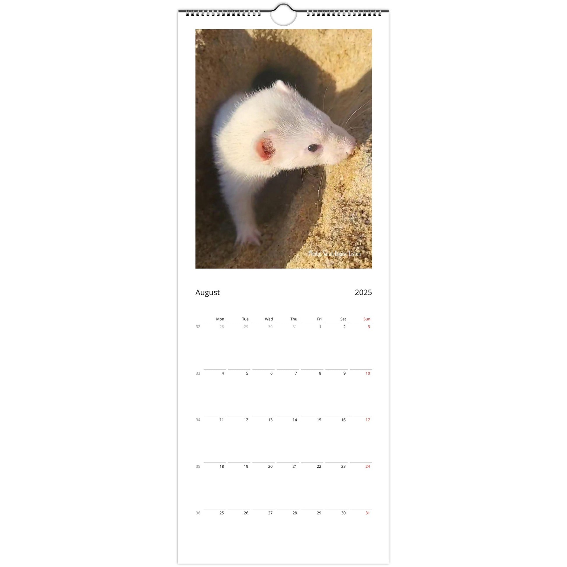 Ferret Owners Australia 2025 Calendar August