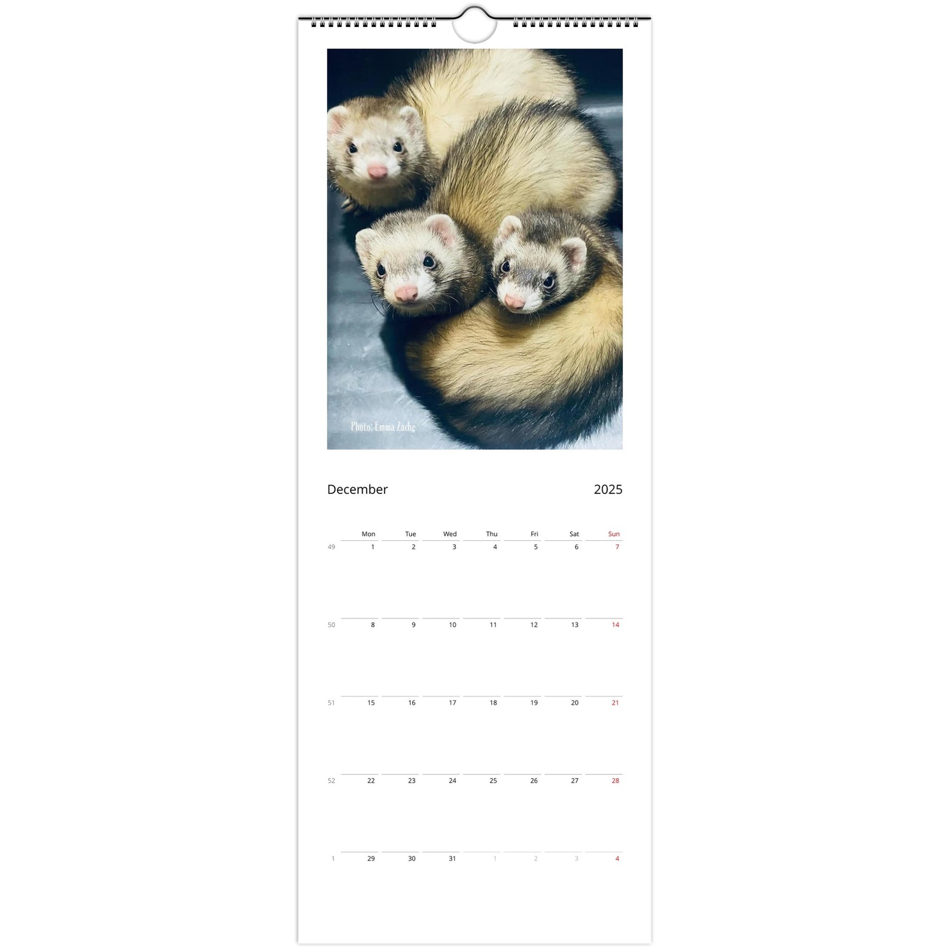 Ferret Owners Australia 2025 Calendar December
