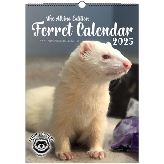 Ferret Owners Australia A3 Calendar 2025 - Albino Edition