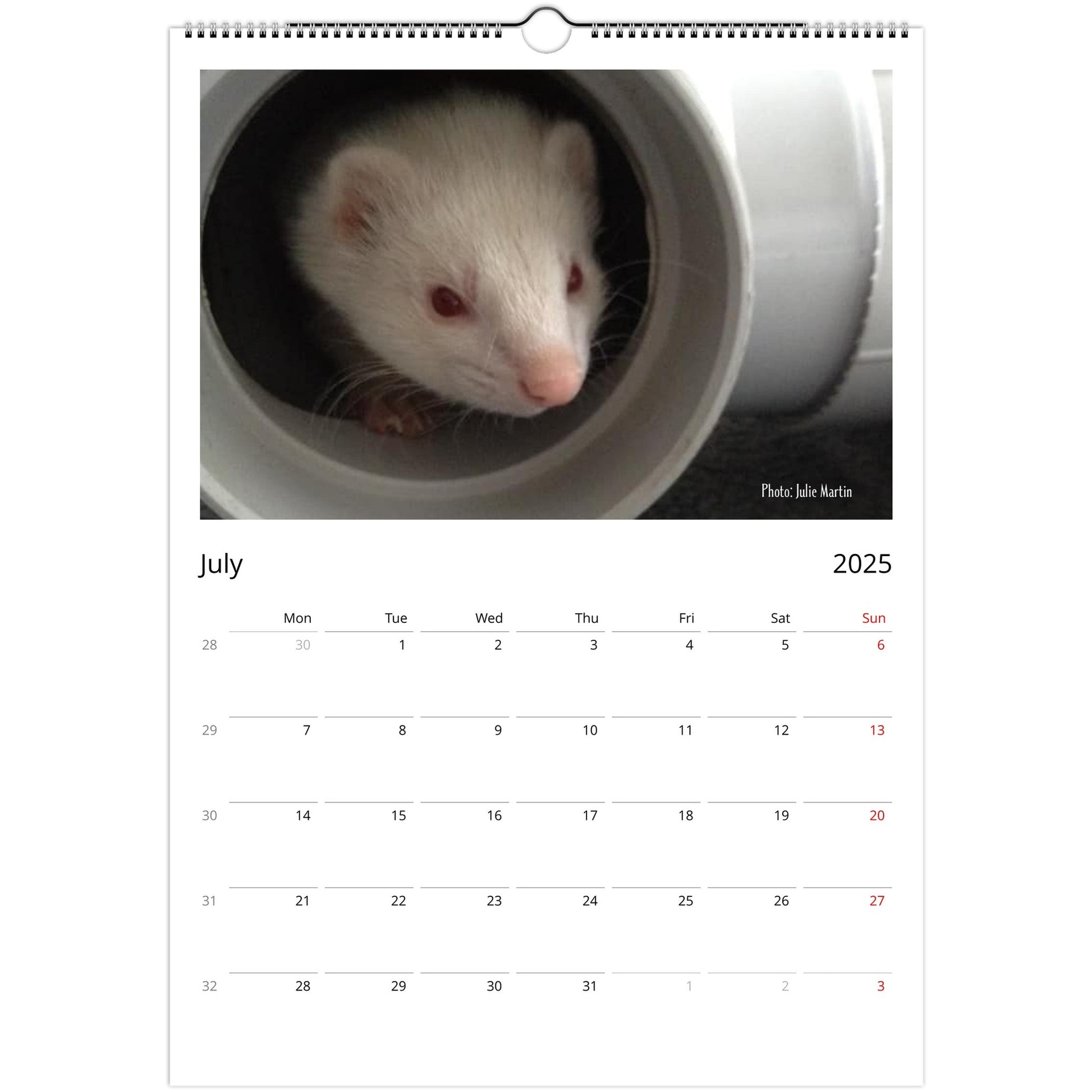 Ferret Owners Australia A3 Calendar 2025 - Albino Edition July