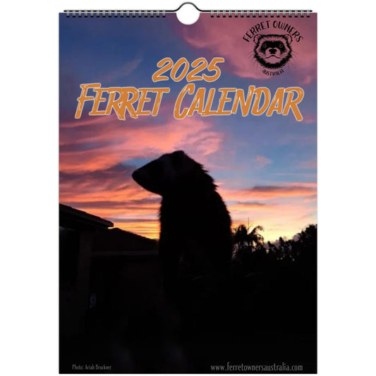 Ferret Owners Australia A4 2025 Calendar Cover
