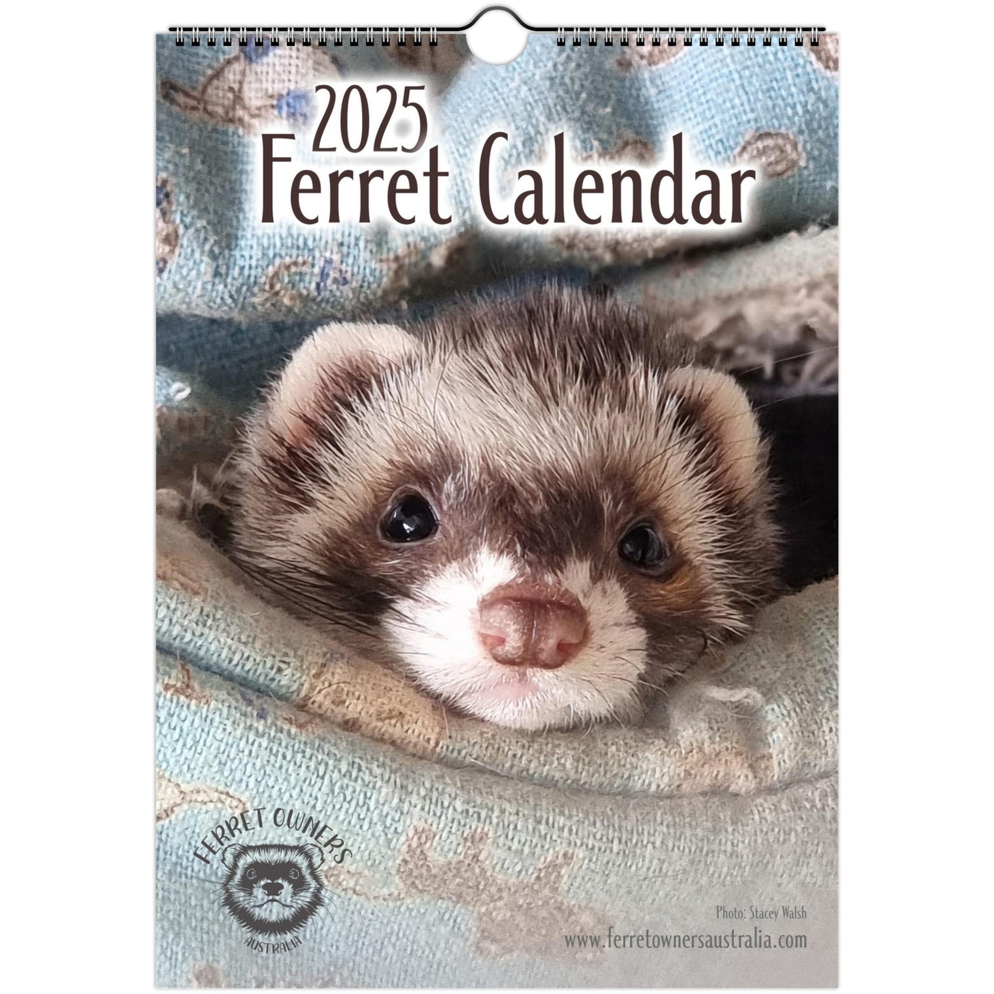 Ferret Owners Australia Calendar 2025 Cover
