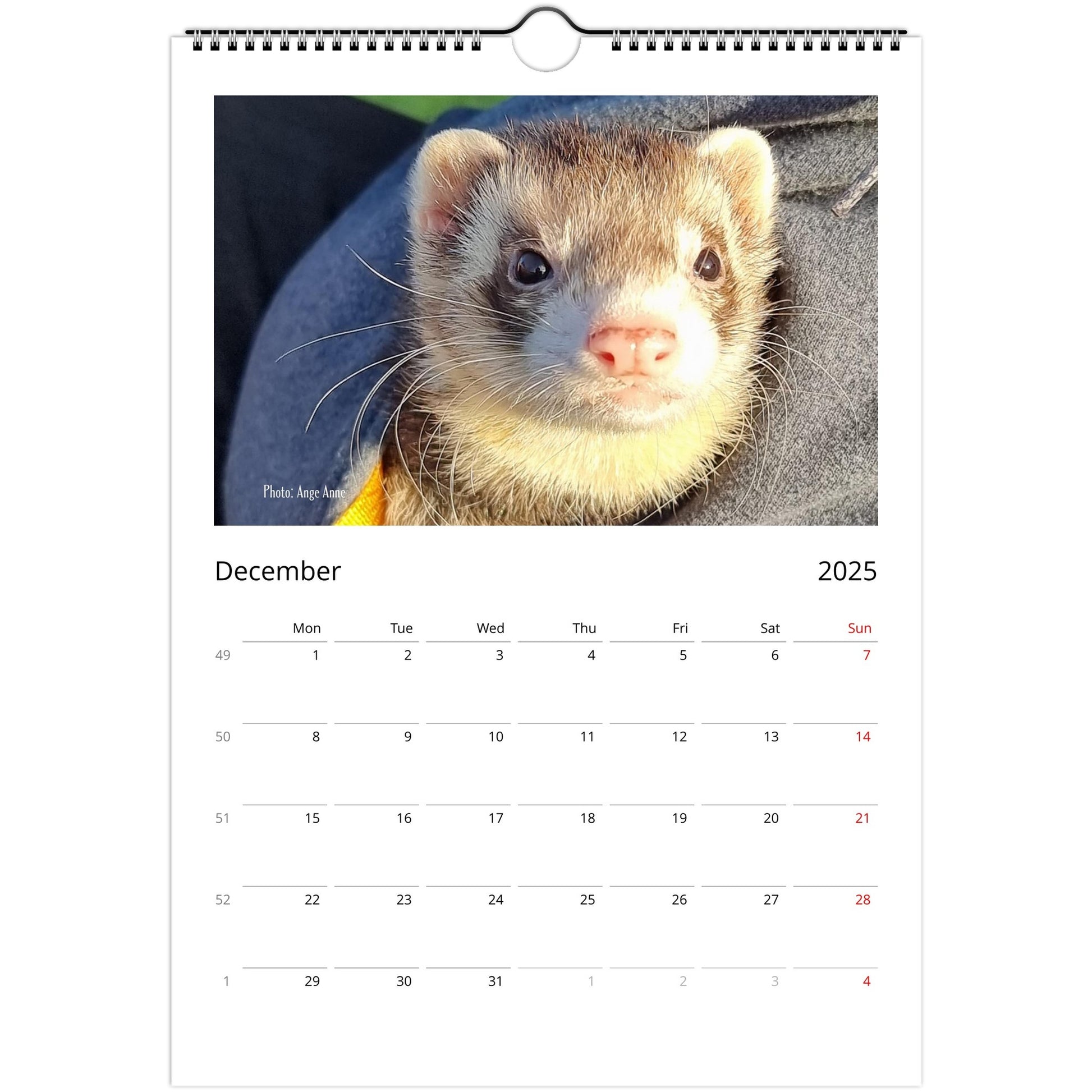 Ferret Owners Australia Calendar 2025 December