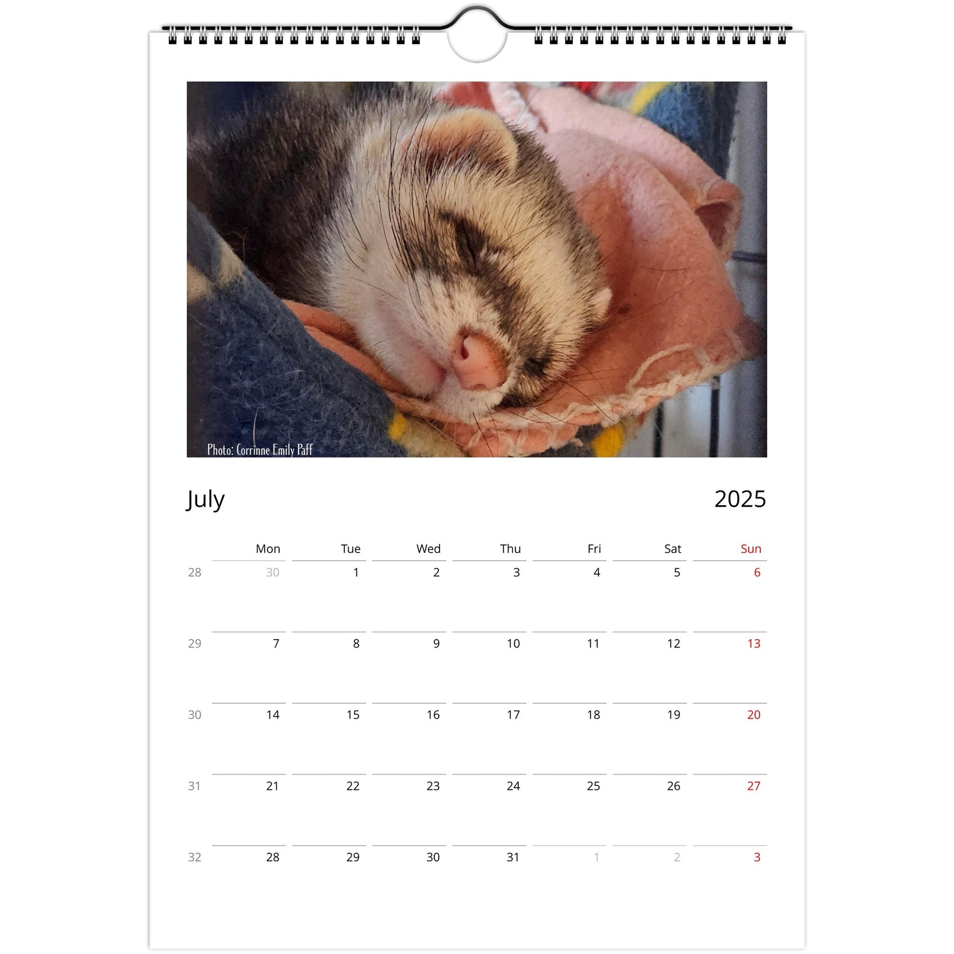 Ferret Owners Australia Calendar 2025 July