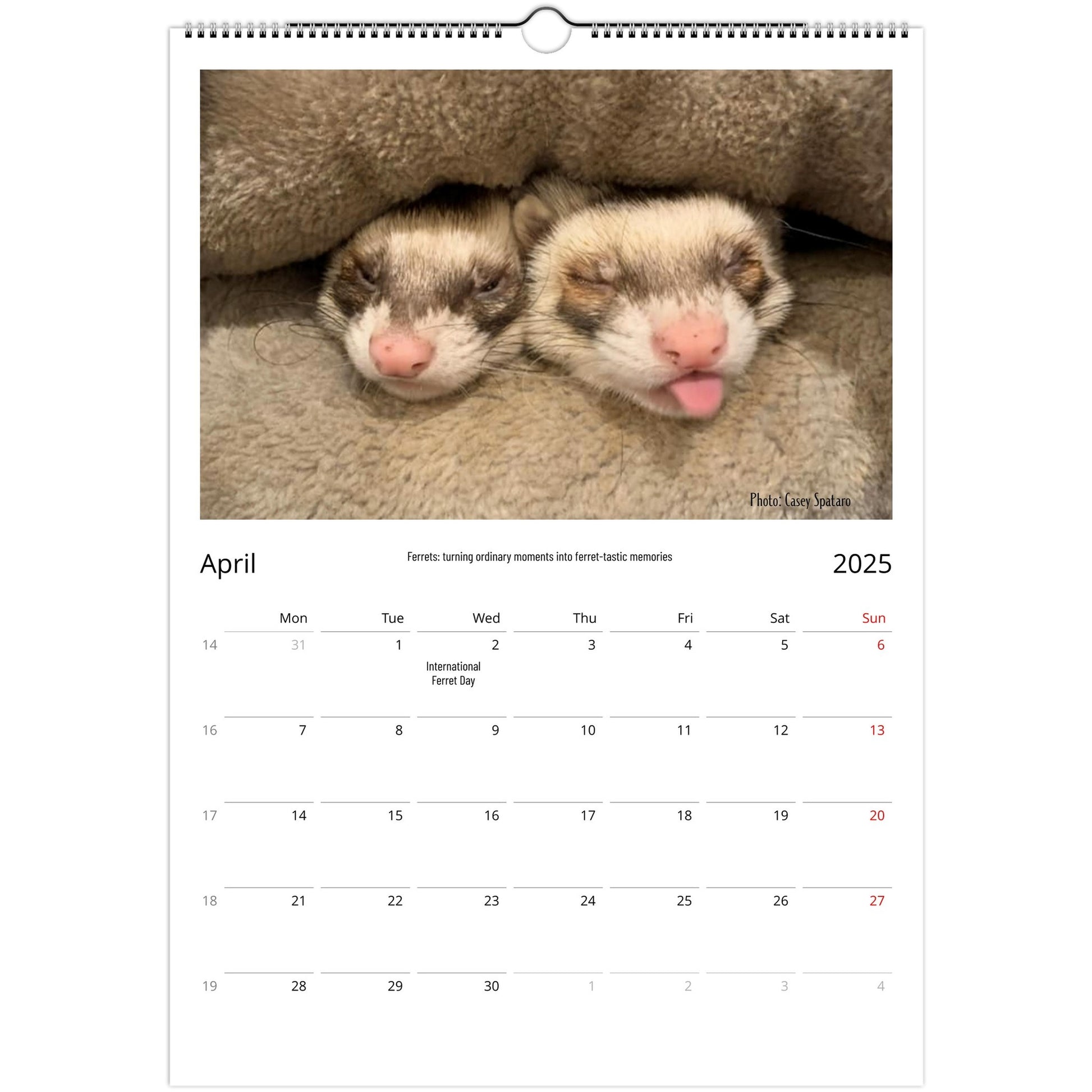 Ferret Owners Australia Calendar April 2025
