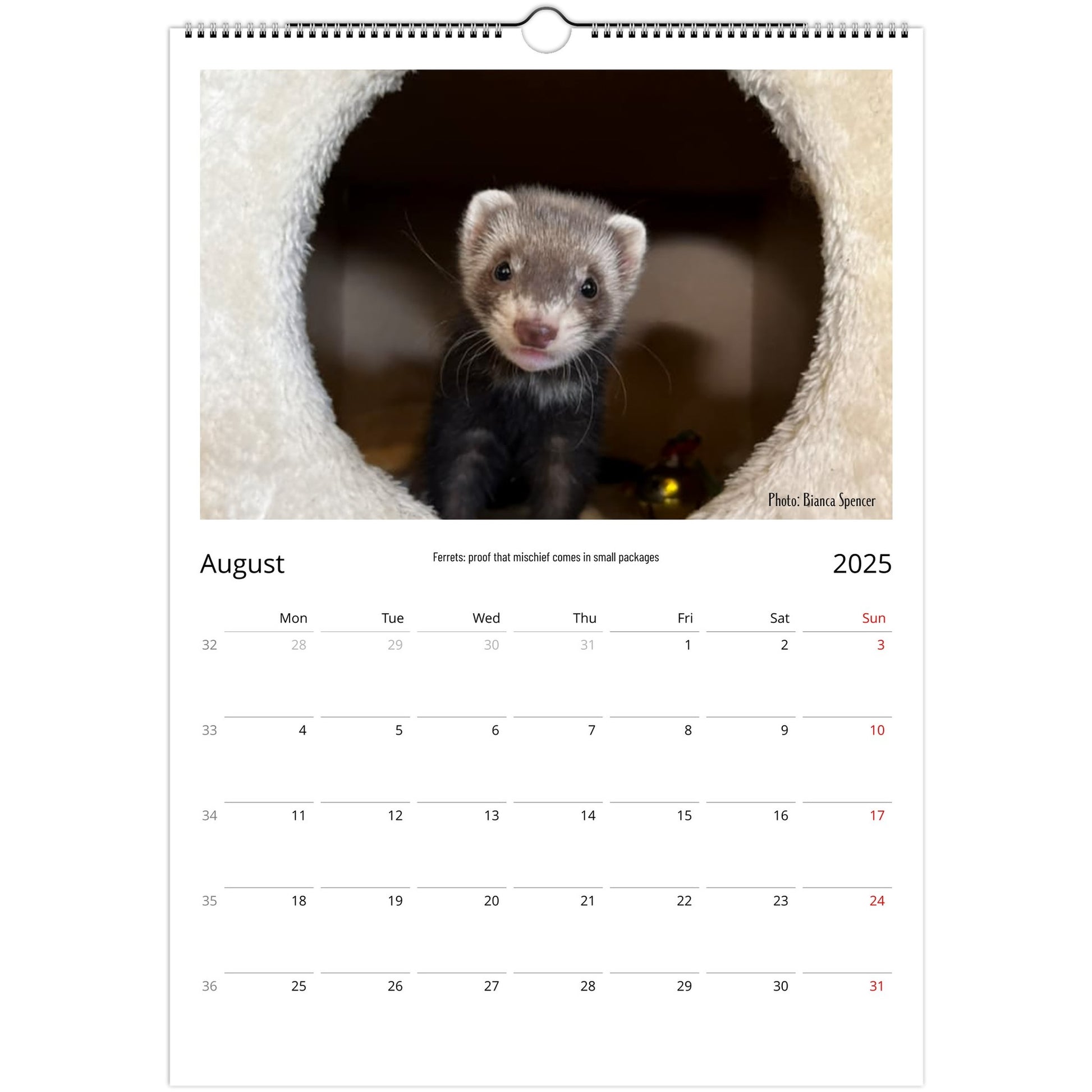 Ferret Owners Australia Calendar August 2025