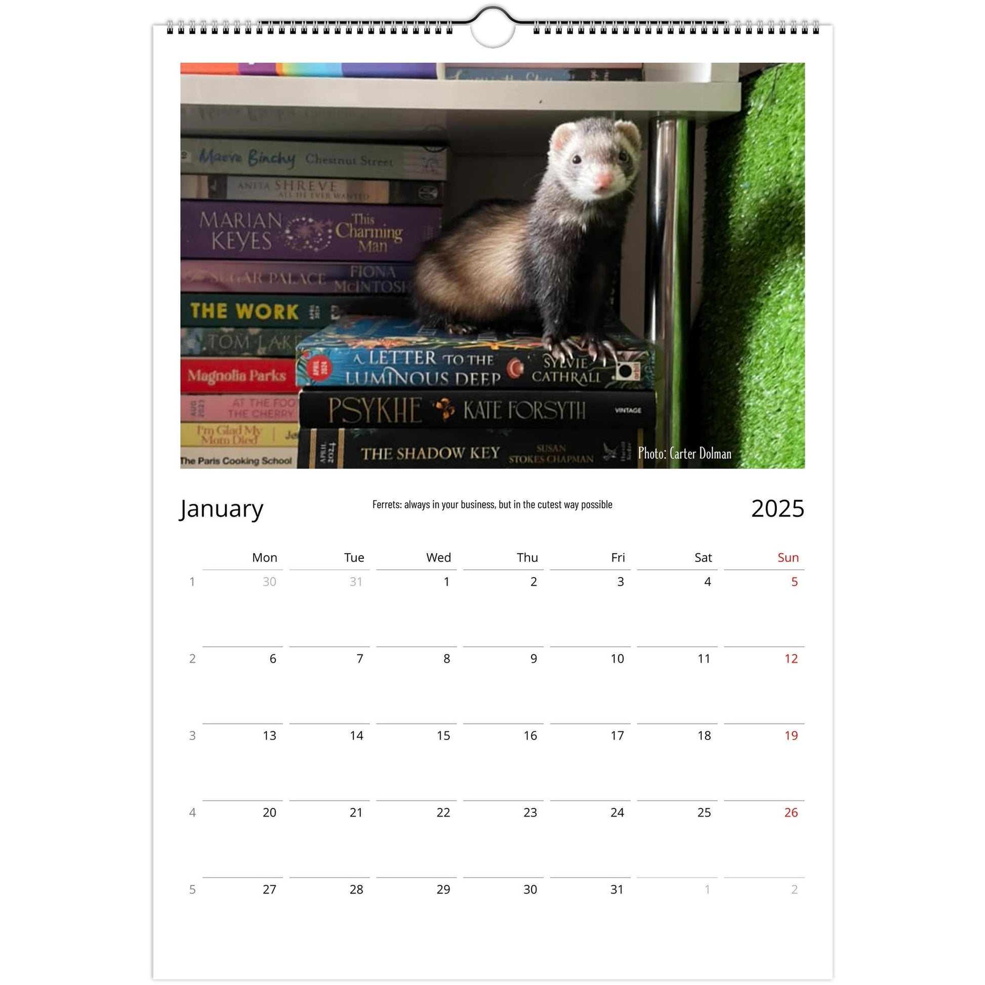 Ferret Owners Australia Calendar January 2025