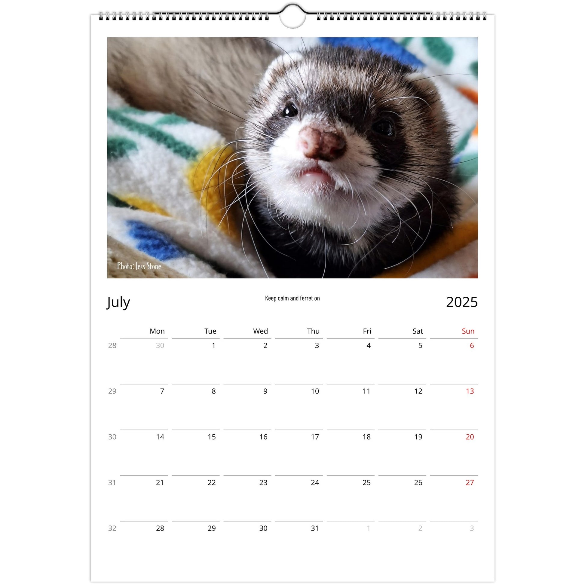 Ferret Owners Australia Calendar July 2025
