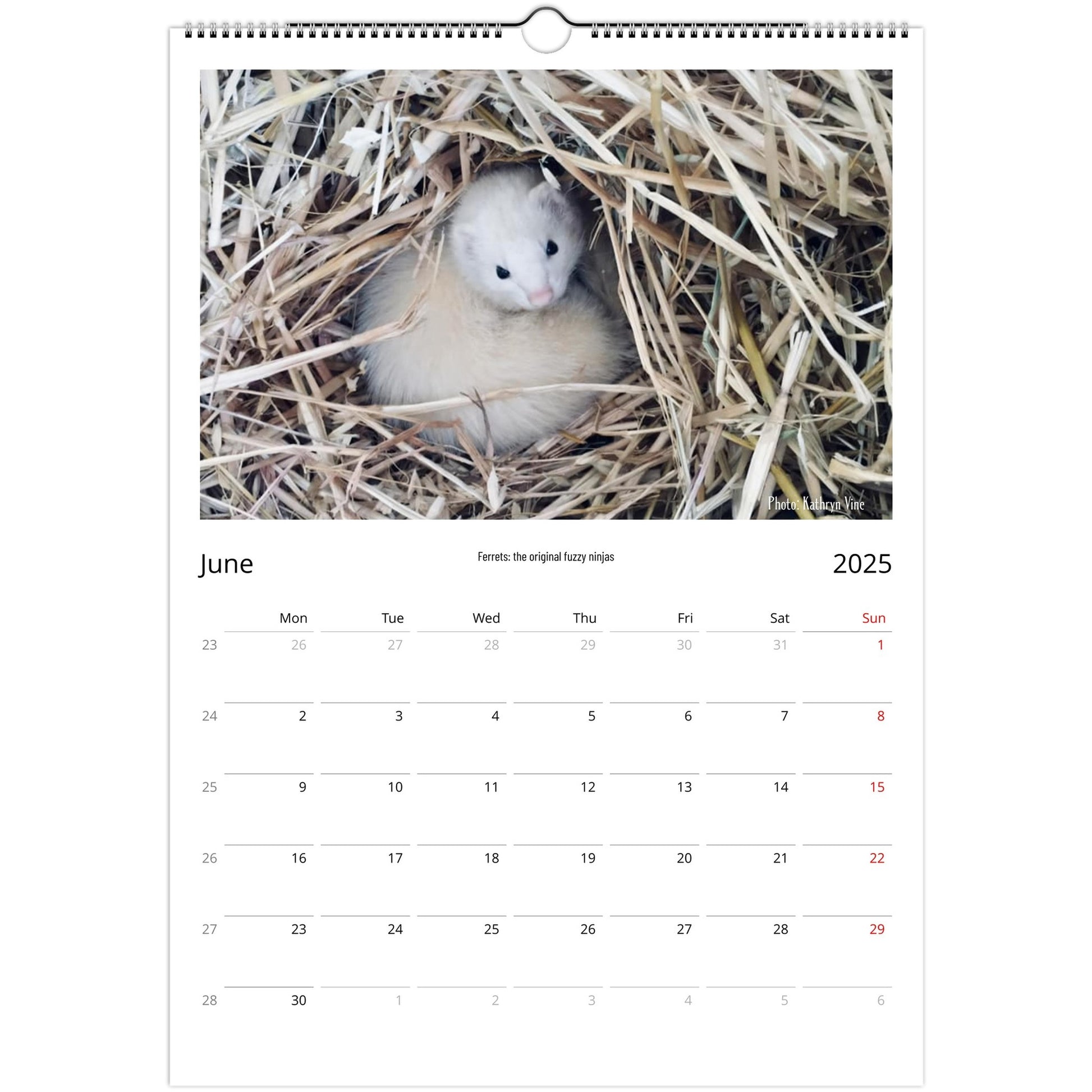 Ferret Owners Australia Calendar June 2025