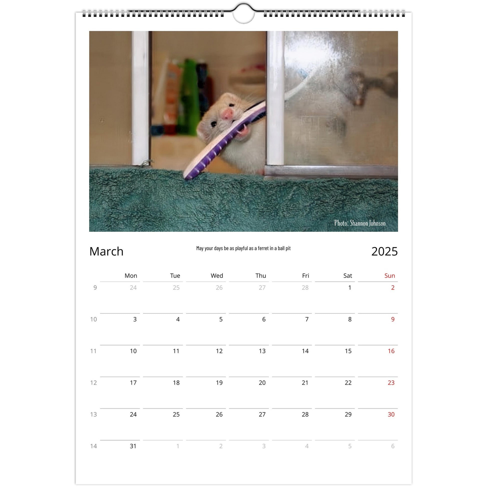 Ferret Owners Australia Calendar March 2025
