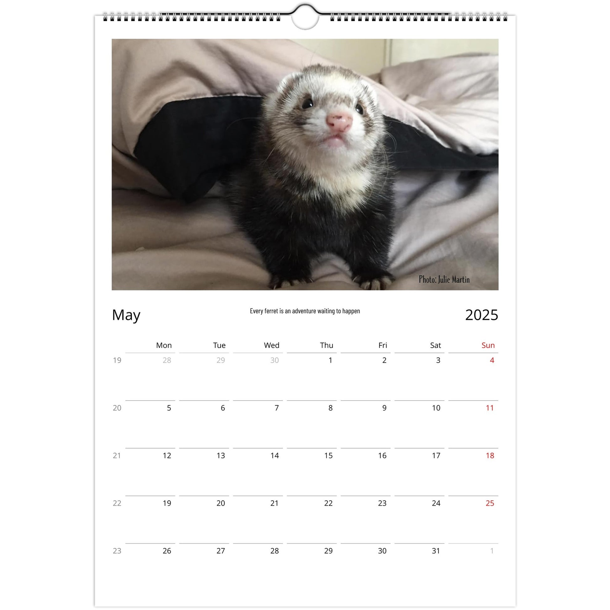 Ferret Owners Australia Calendar 2025 May