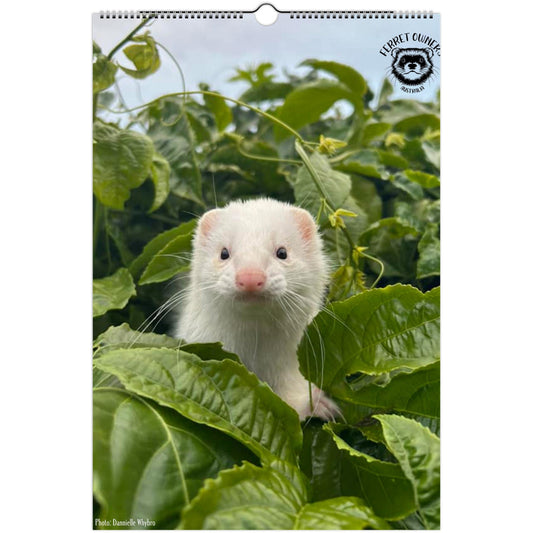Ferret Owners Australia Ledger Calendar 2025