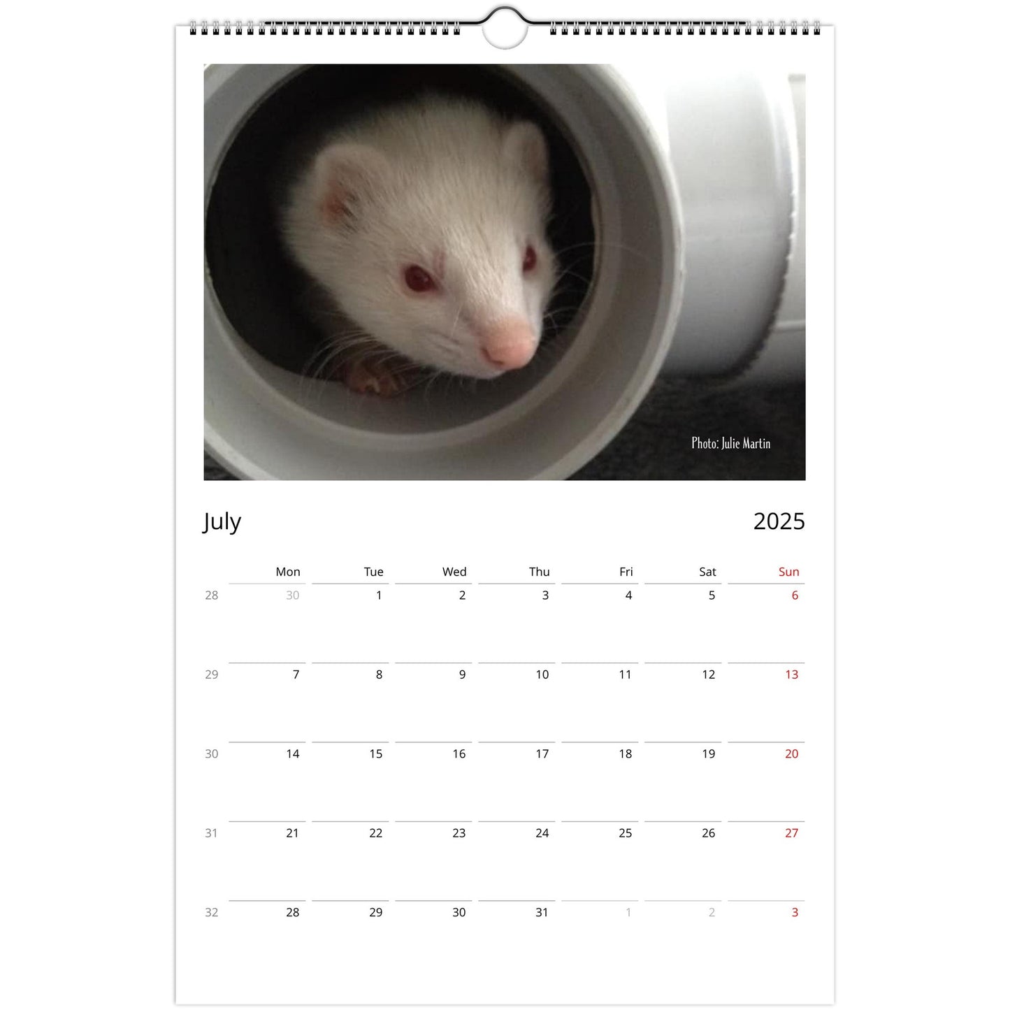 Ferret Owners Australia Ledger Calendar 2025 - Albino Edition July