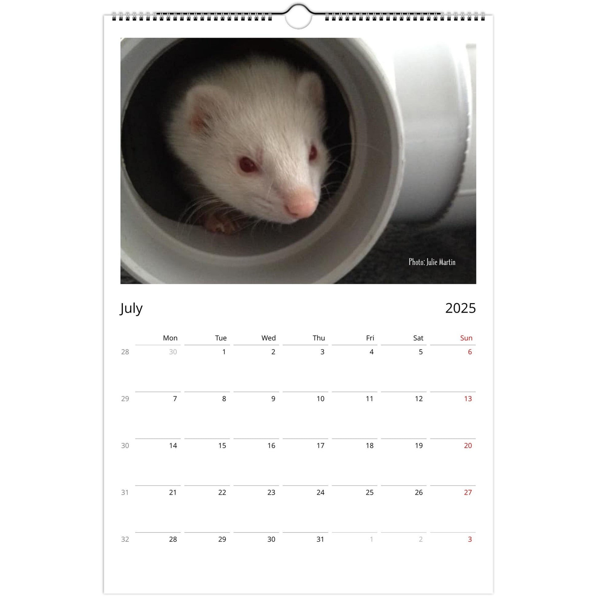 Ferret Owners Australia Ledger Calendar 2025 - Albino Edition July