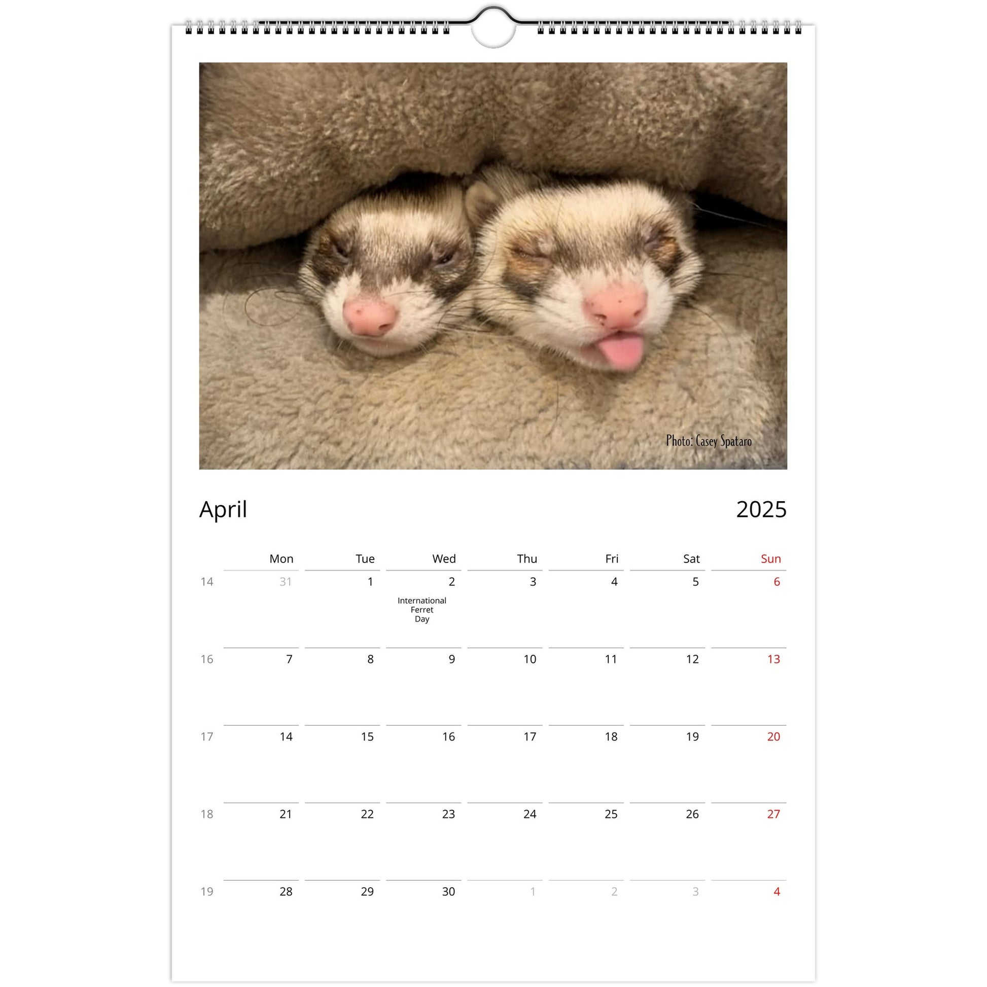 Ferret Owners Australia Ledger Calendar 2025 April V2