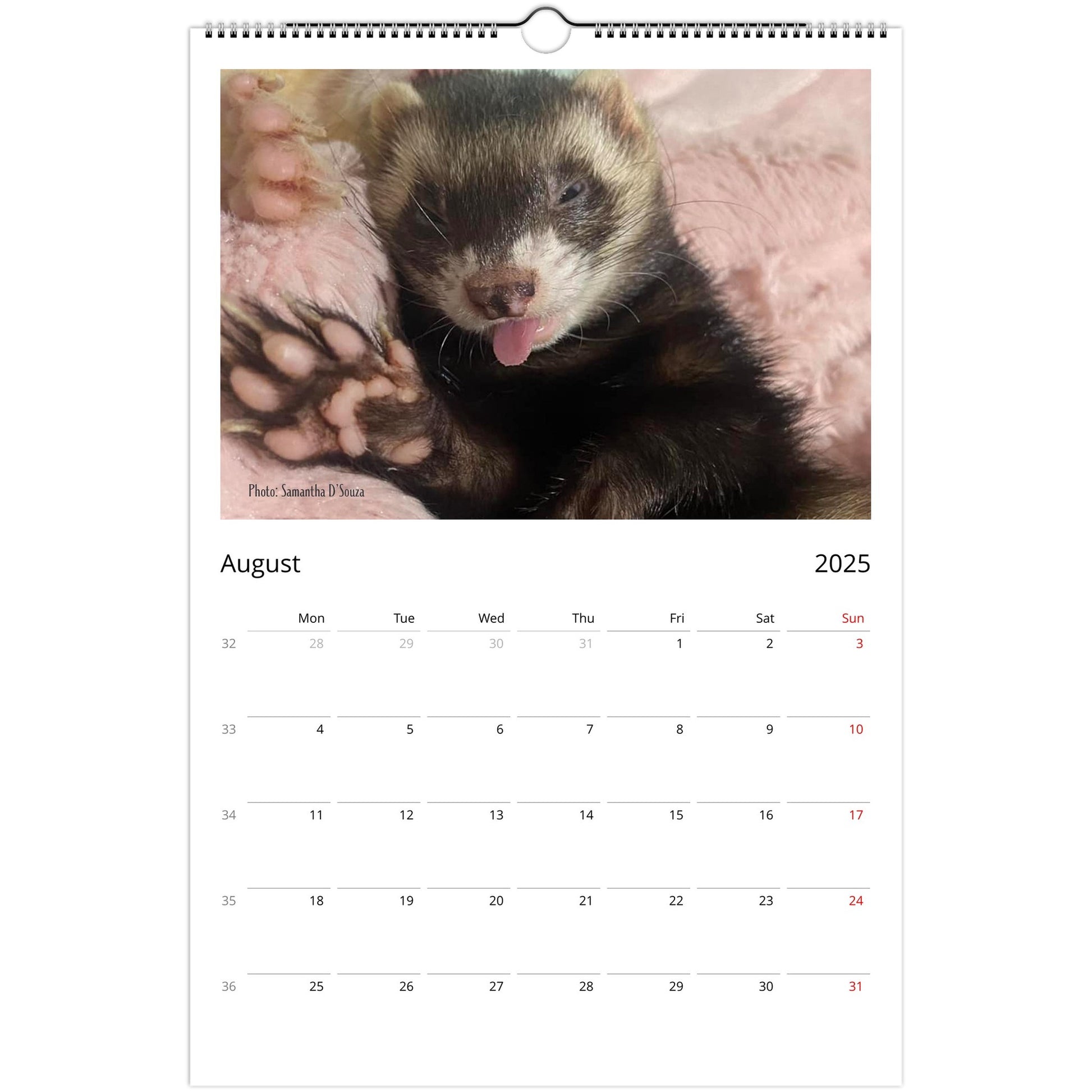 Ferret Owners Australia Ledger Calendar 2025 August