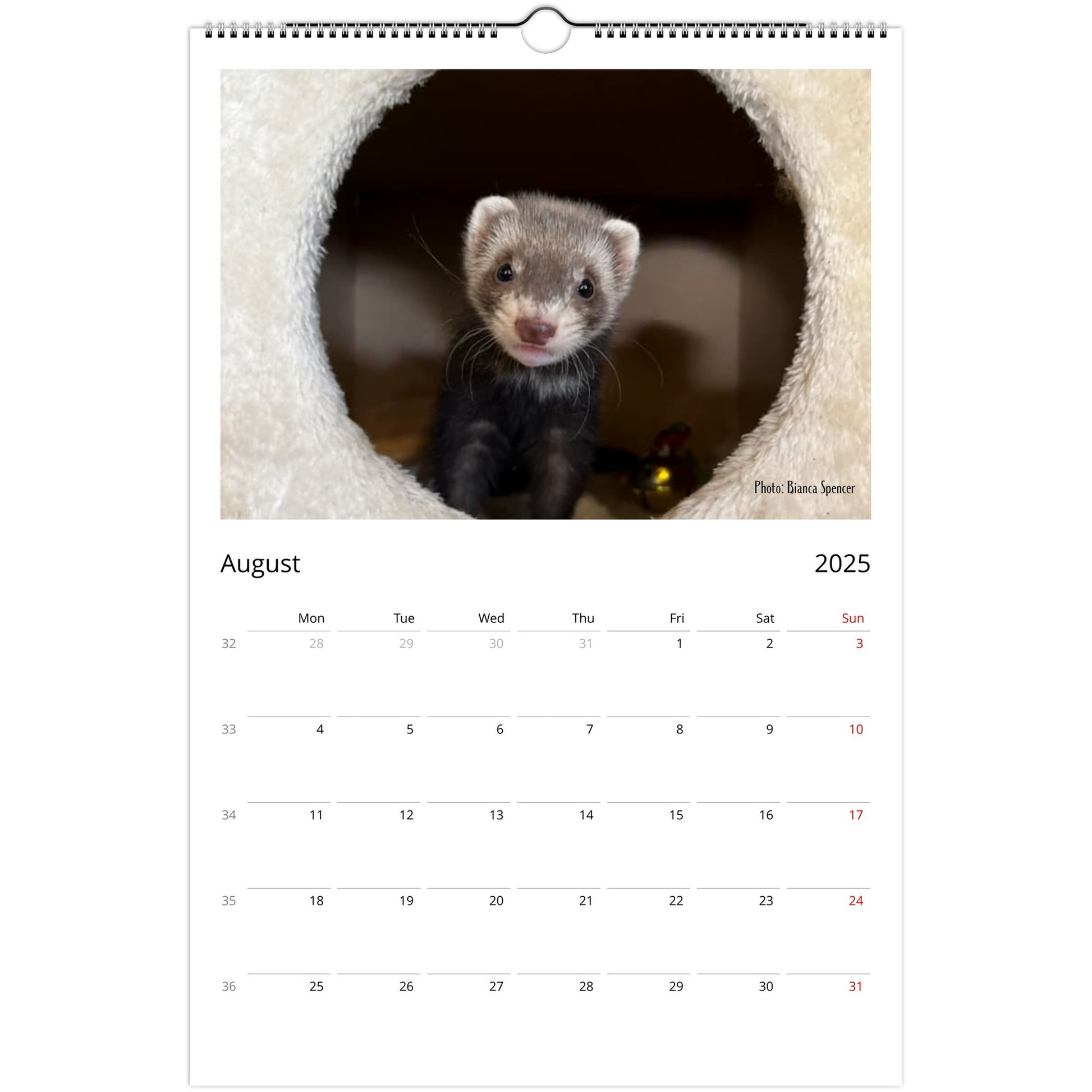 Ferret Owners Australia Ledger Calendar 2025 August V2