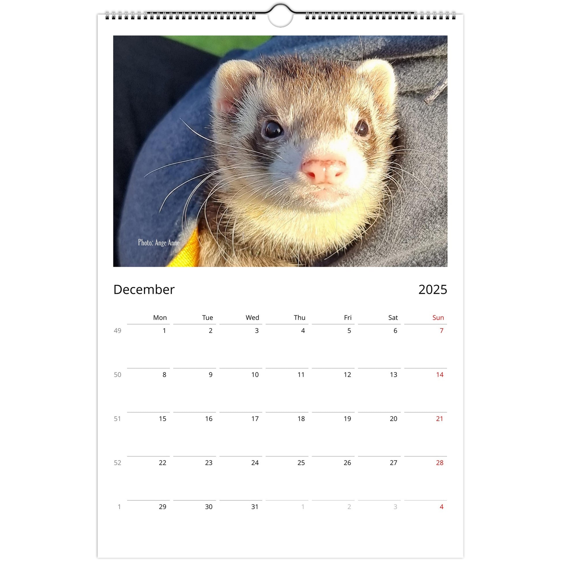 Ferret Owners Australia Ledger Calendar 2025 December