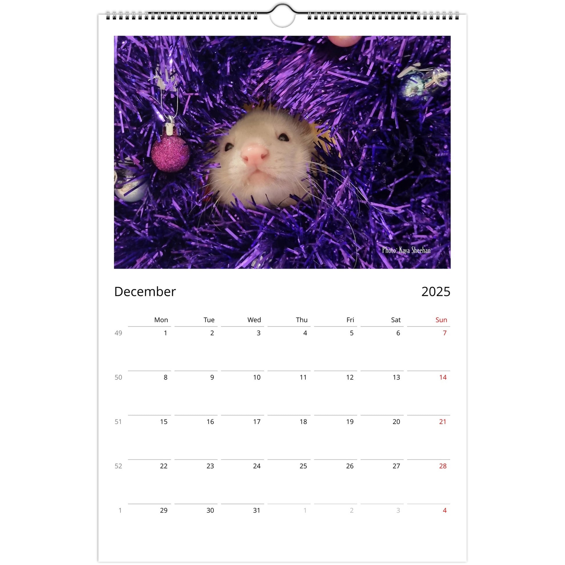 Ferret Owners Australia Ledger Calendar 2025 December V2