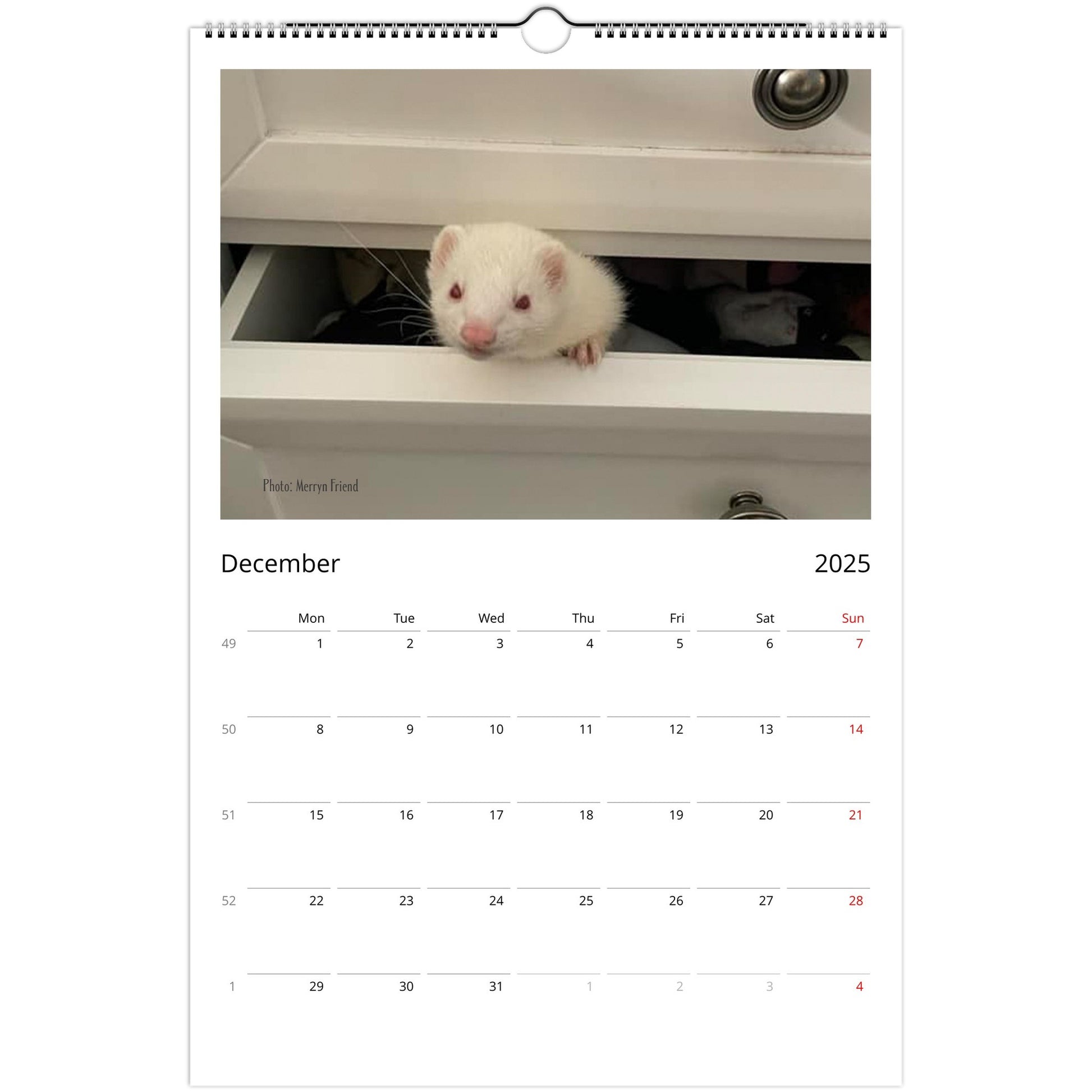 Ferret Owners Australia Ledger Calendar 2025 December V3