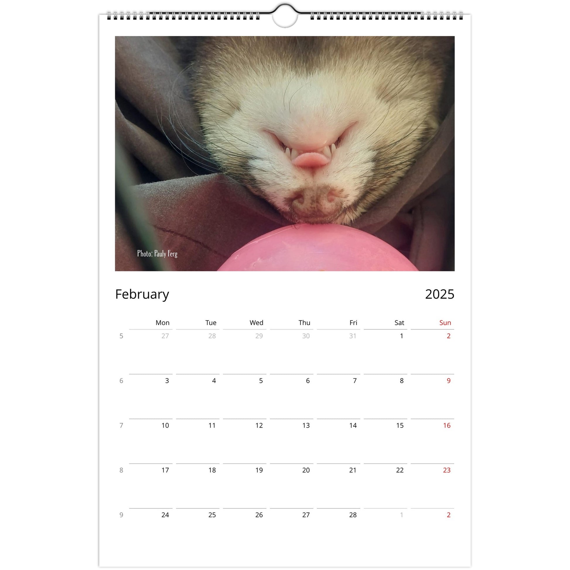 Ferret Owners Australia Ledger Calendar 2025 February