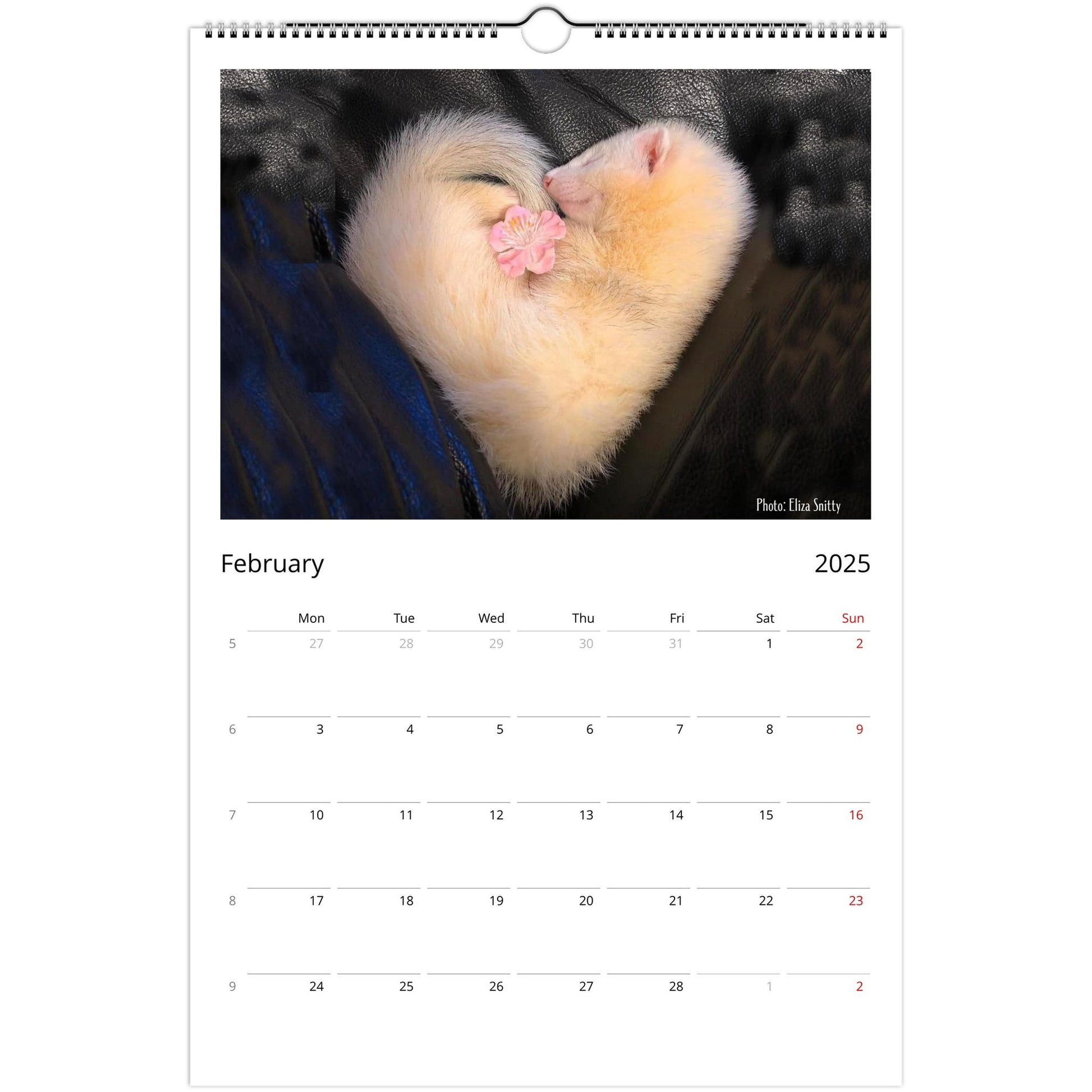 Ferret Owners Australia Ledger Calendar 2025 February V2