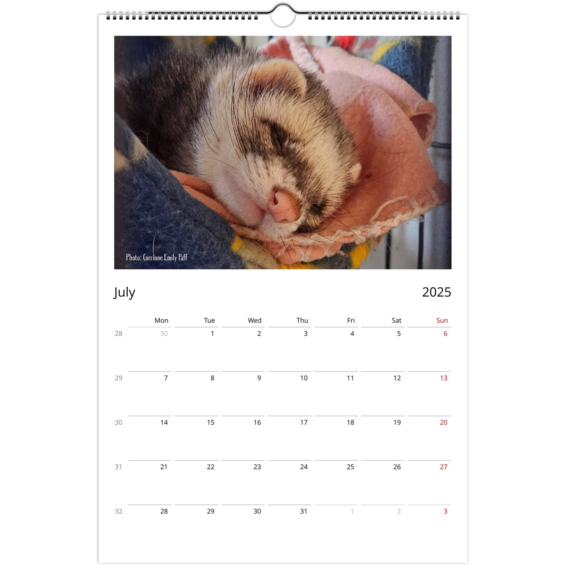 Ferret Owners Australia Ledger Calendar 2025 July