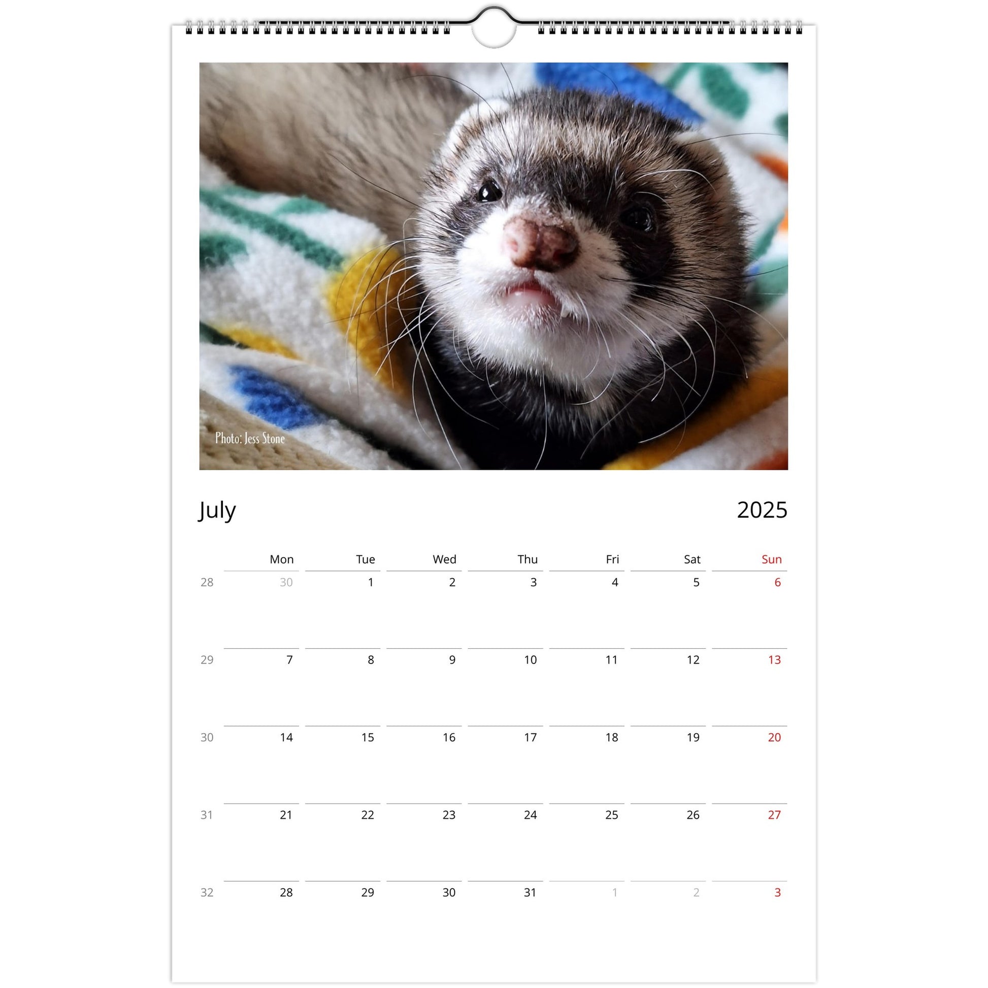 Ferret Owners Australia Ledger Calendar 2025 July V2