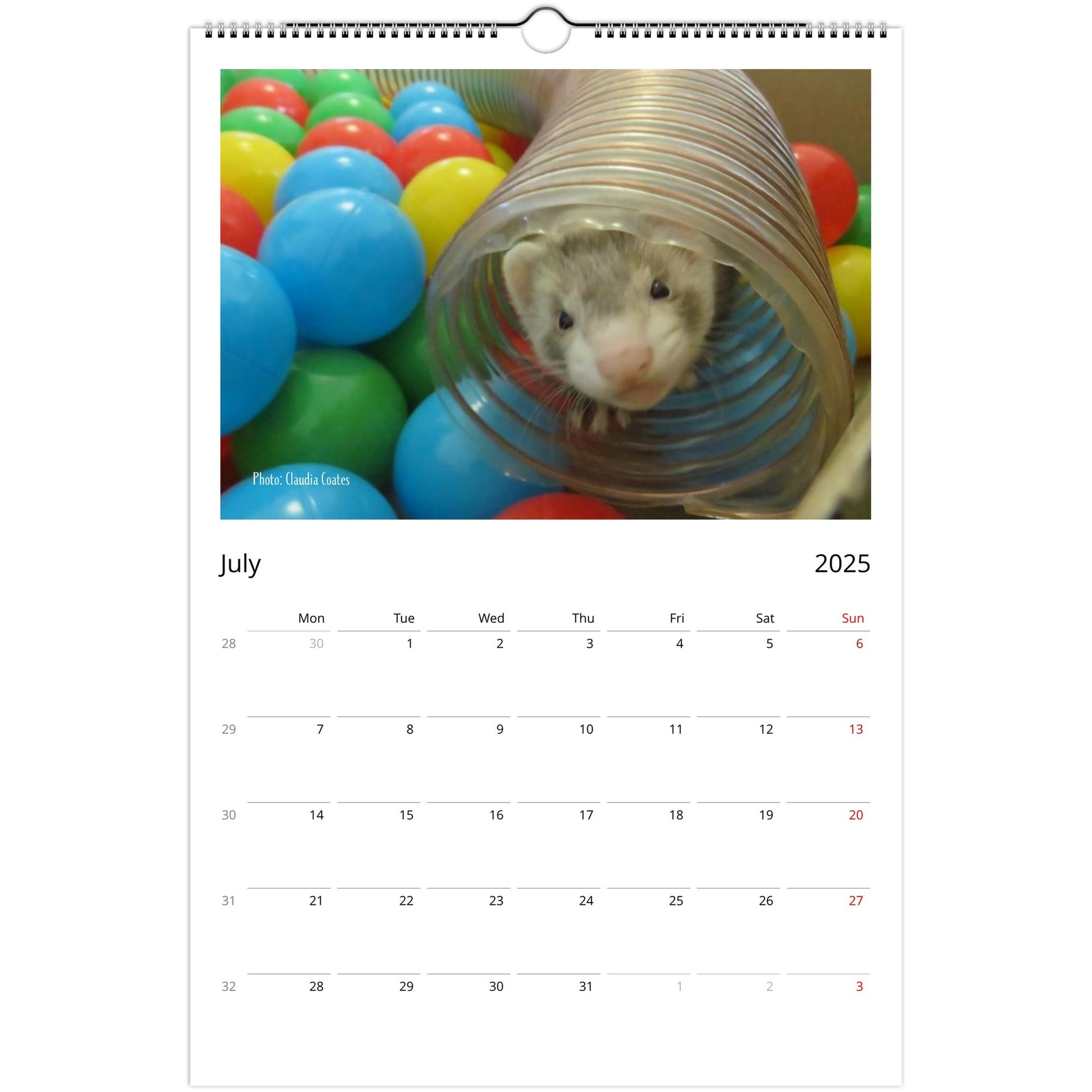 Ferret Owners Australia Ledger Calendar 2025 July V3
