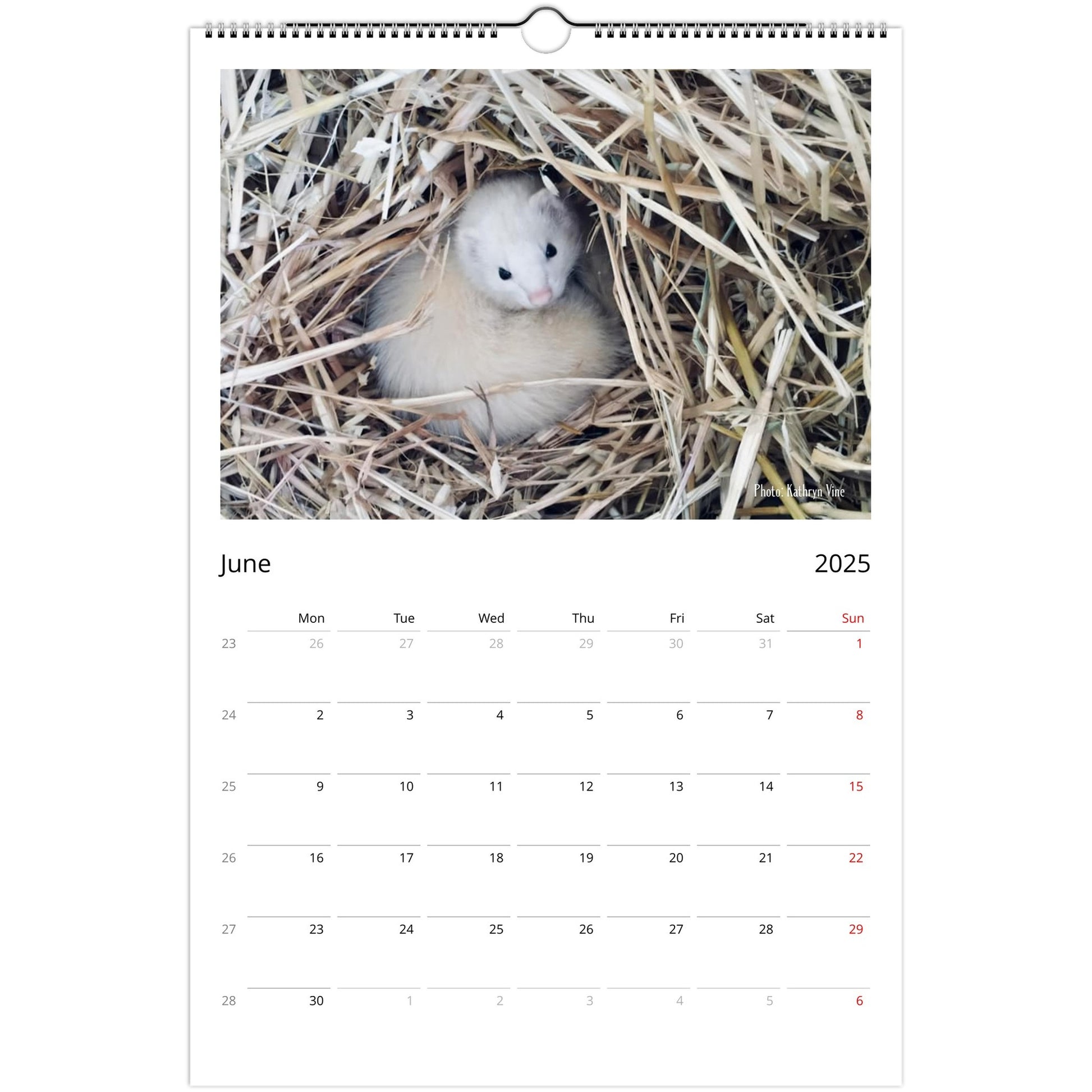 Ferret Owners Australia Ledger Calendar 2025 June V2