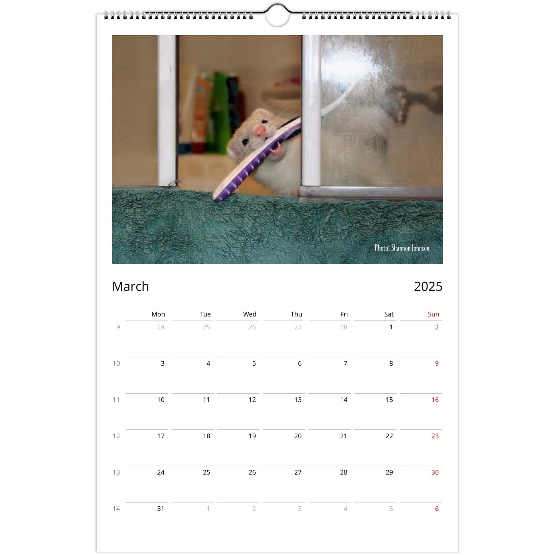 Ferret Owners Australia Ledger Calendar 2025 March V2