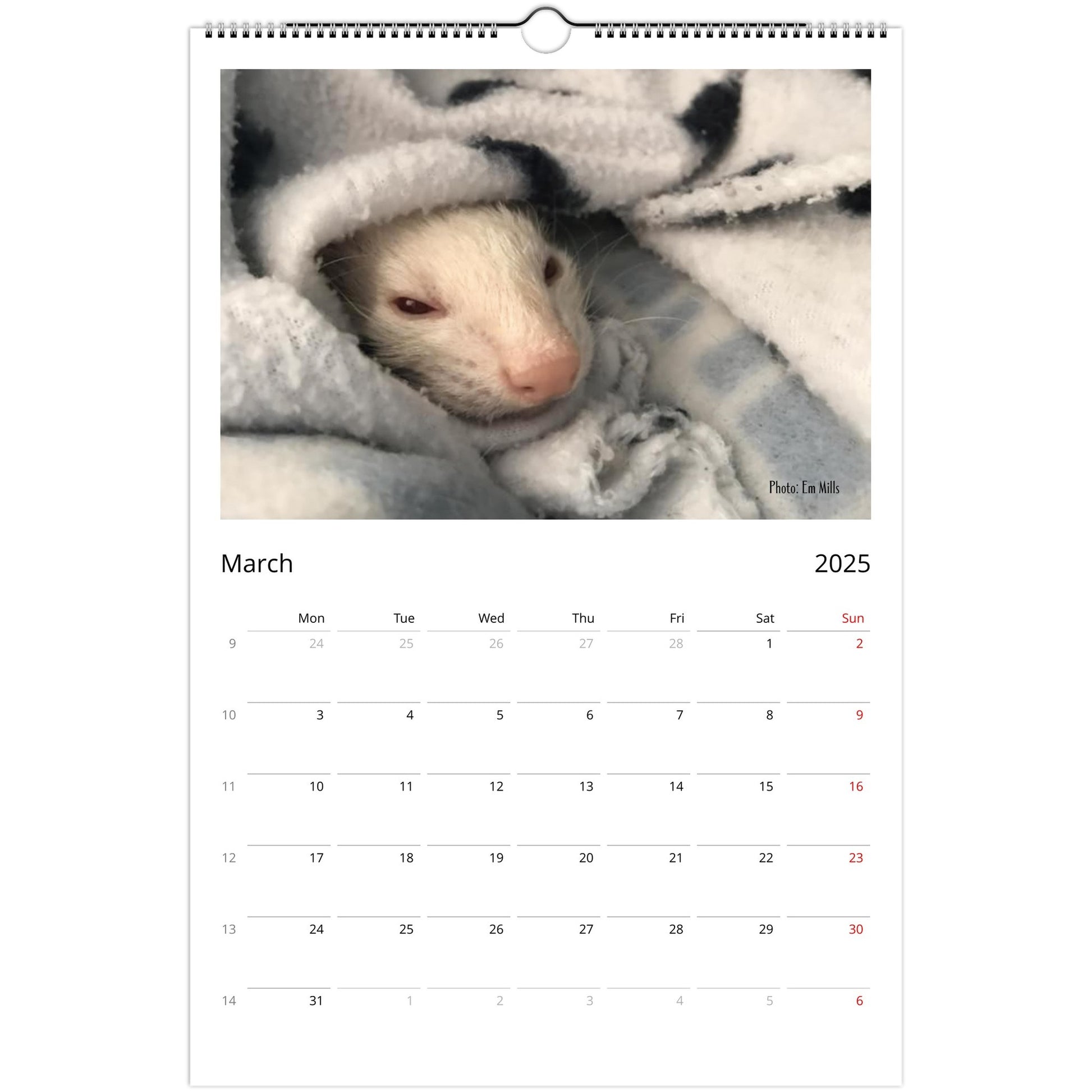 Ferret Owners Australia Ledger Calendar 2025 March V3