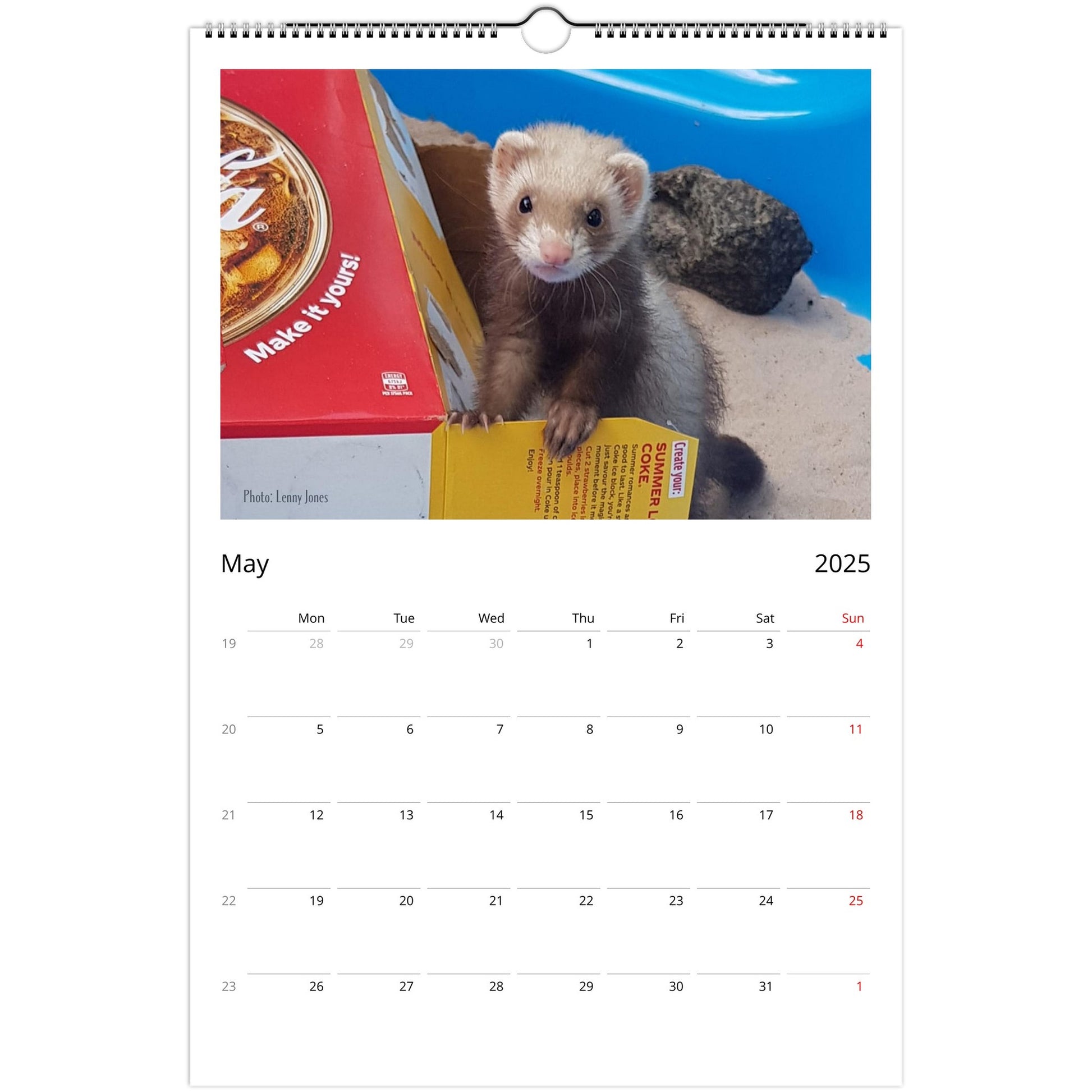 Ferret Owners Australia Ledger Calendar 2025 May