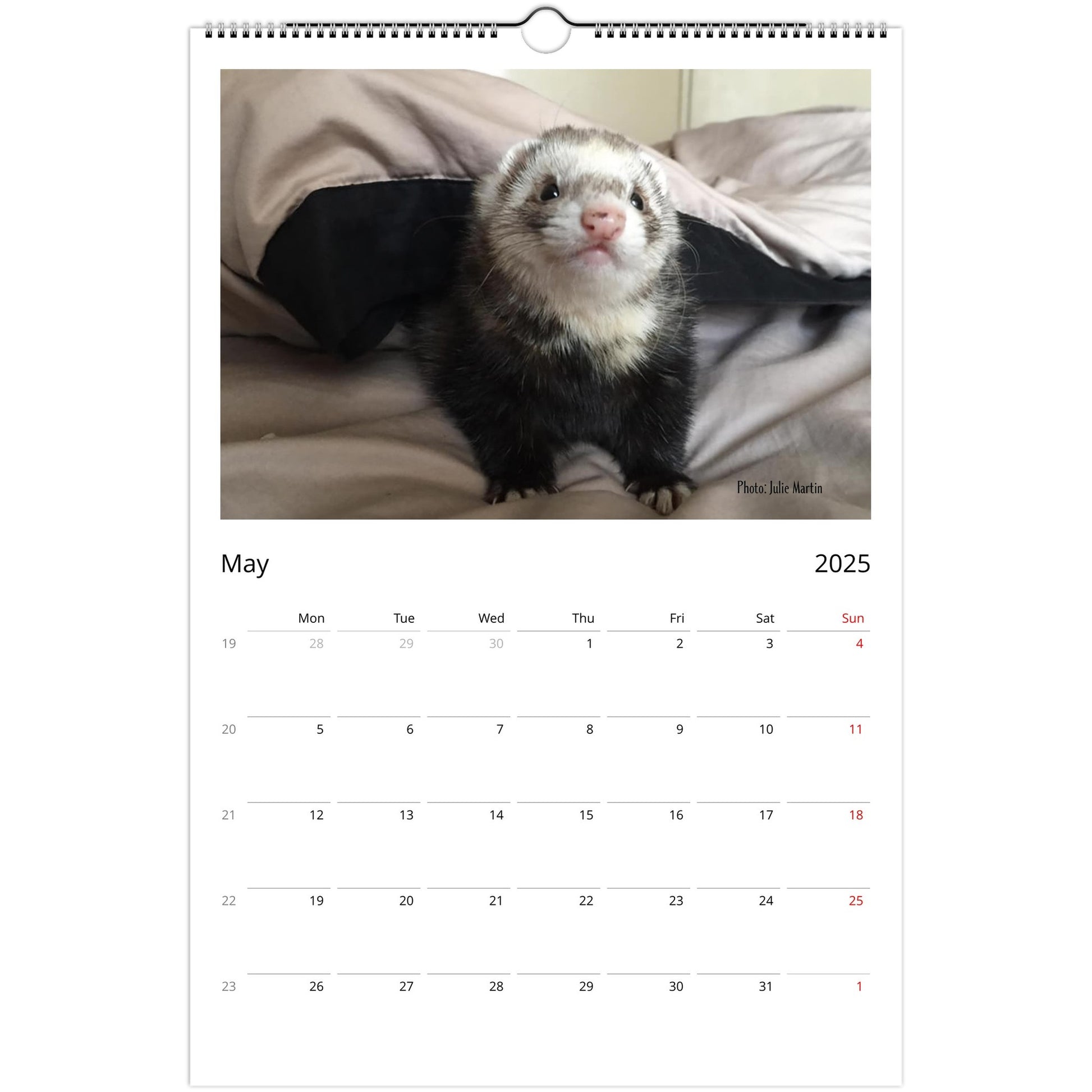 Ferret Owners Australia Ledger Calendar 2025 May V2