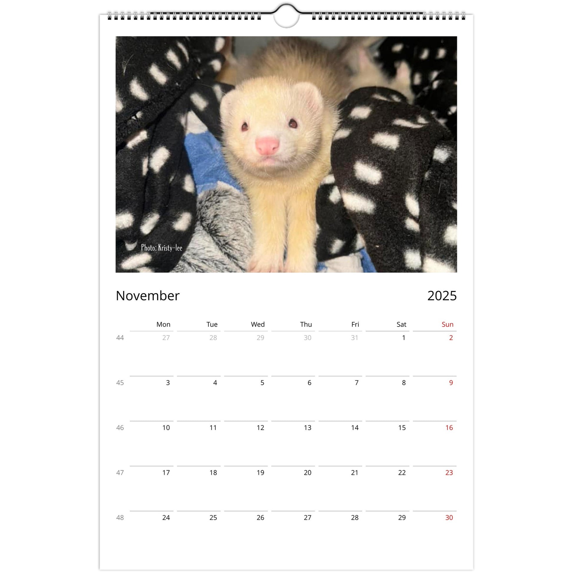 Ferret Owners Australia Ledger Calendar 2025 November
