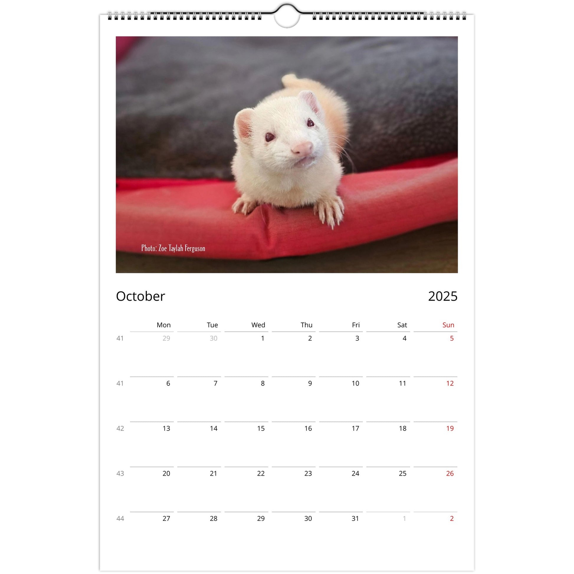 Ferret Owners Australia Ledger Calendar 2025 October