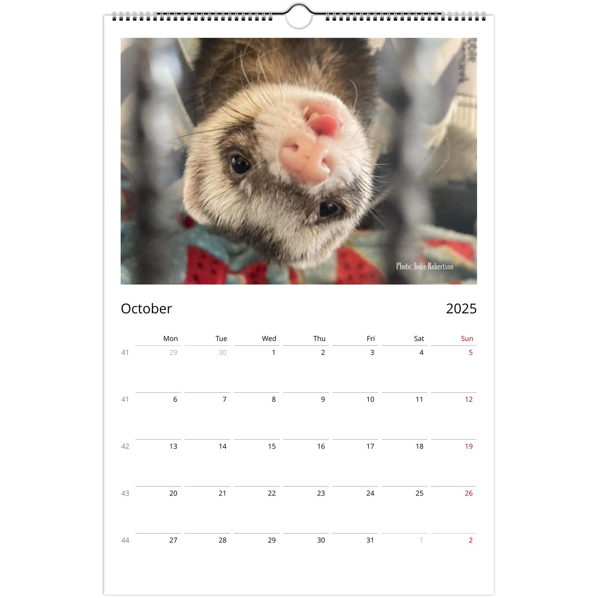 Ferret Owners Australia Ledger Calendar 2025 October V3