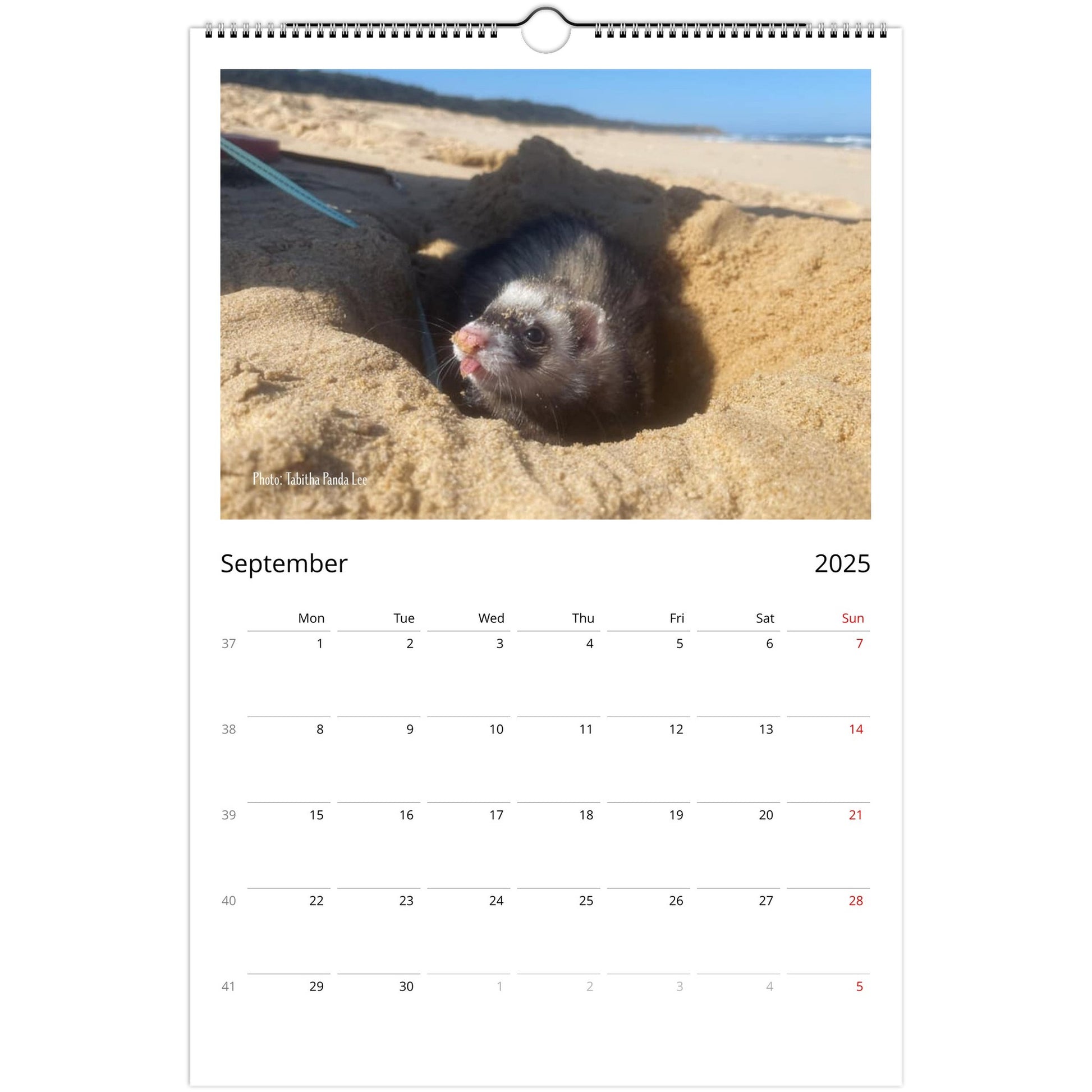 Ferret Owners Australia Ledger Calendar 2025 September V3