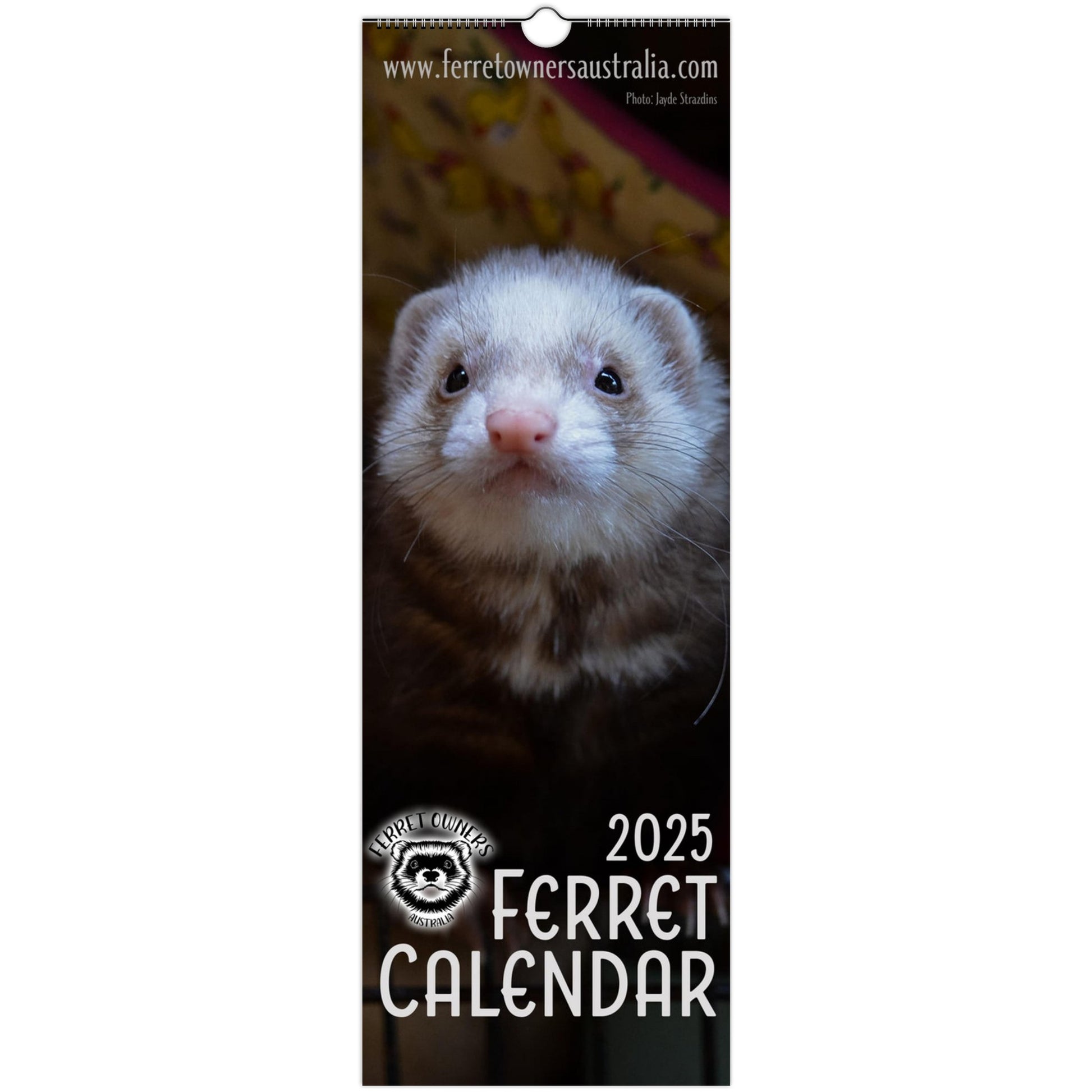Ferret Wall Calendar 2025