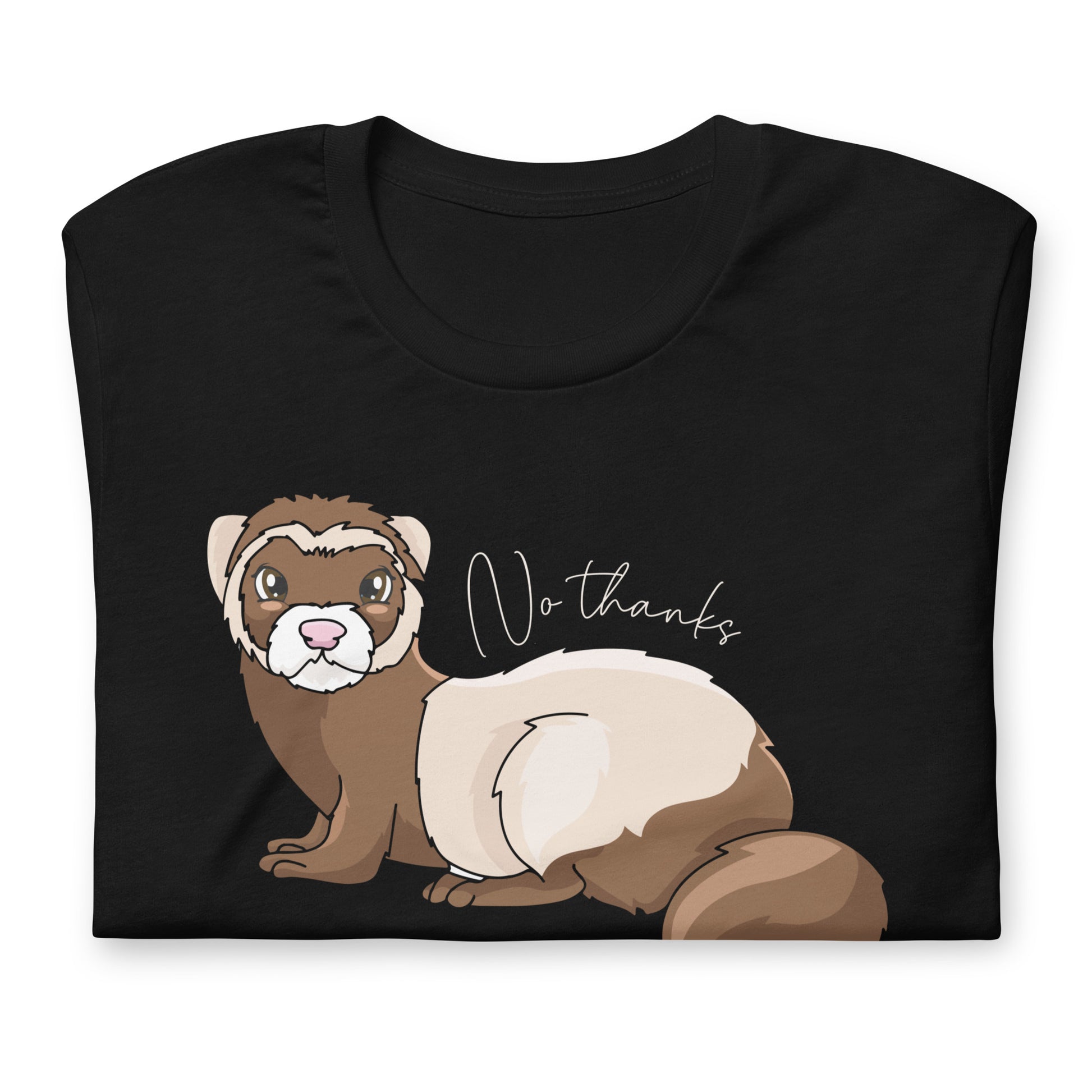 No Thanks I'll Just Hang With My Ferrets Unisex T-Shirt