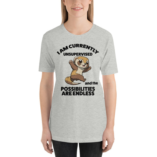 I Am Unsupervised Unisex T-Shirt