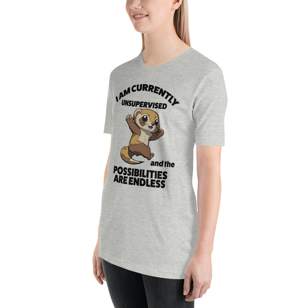 I Am Unsupervised Unisex T-Shirt